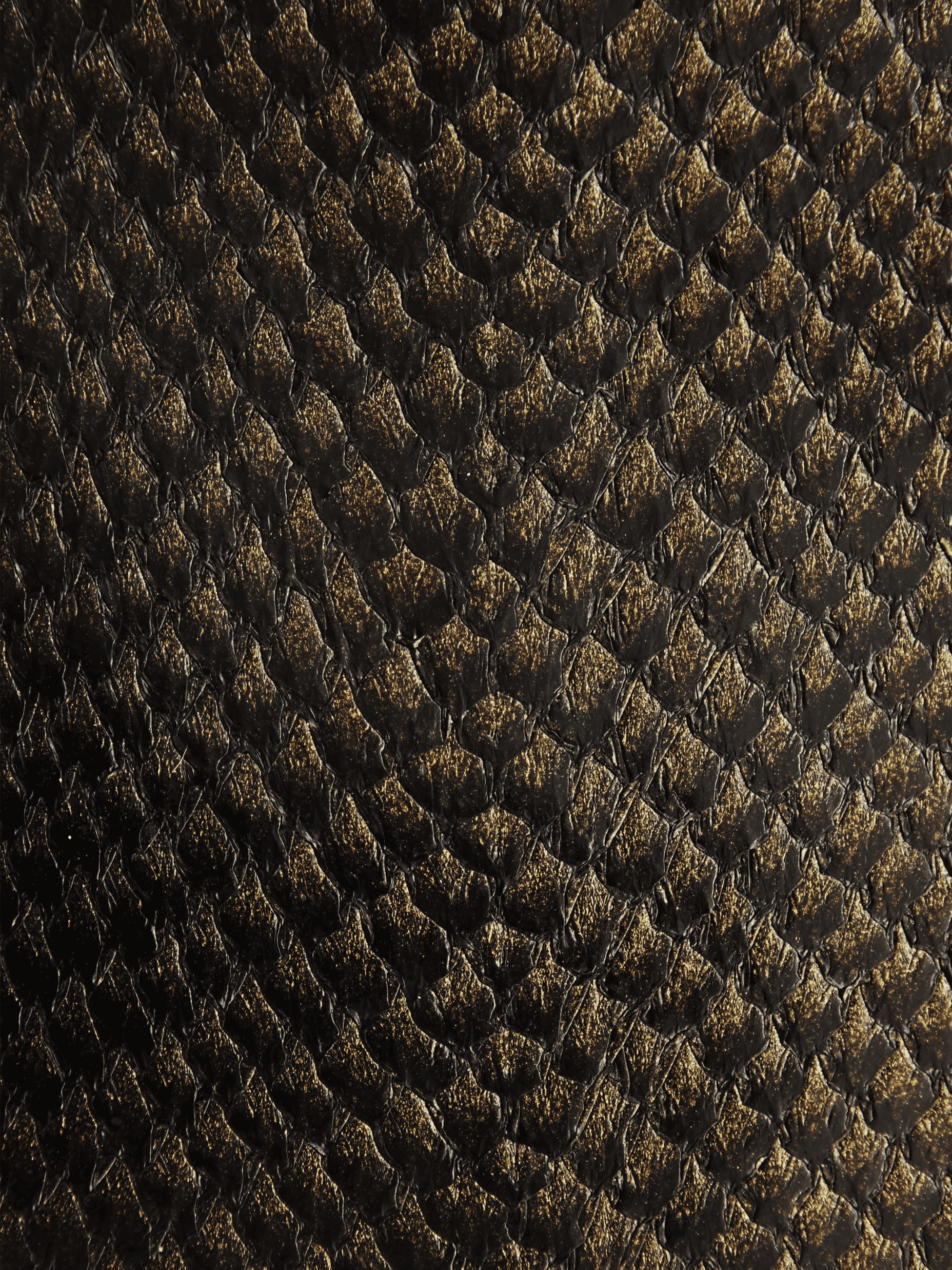 SQUAMA® DÉGRADÉ Encre d'Or ictyos-store