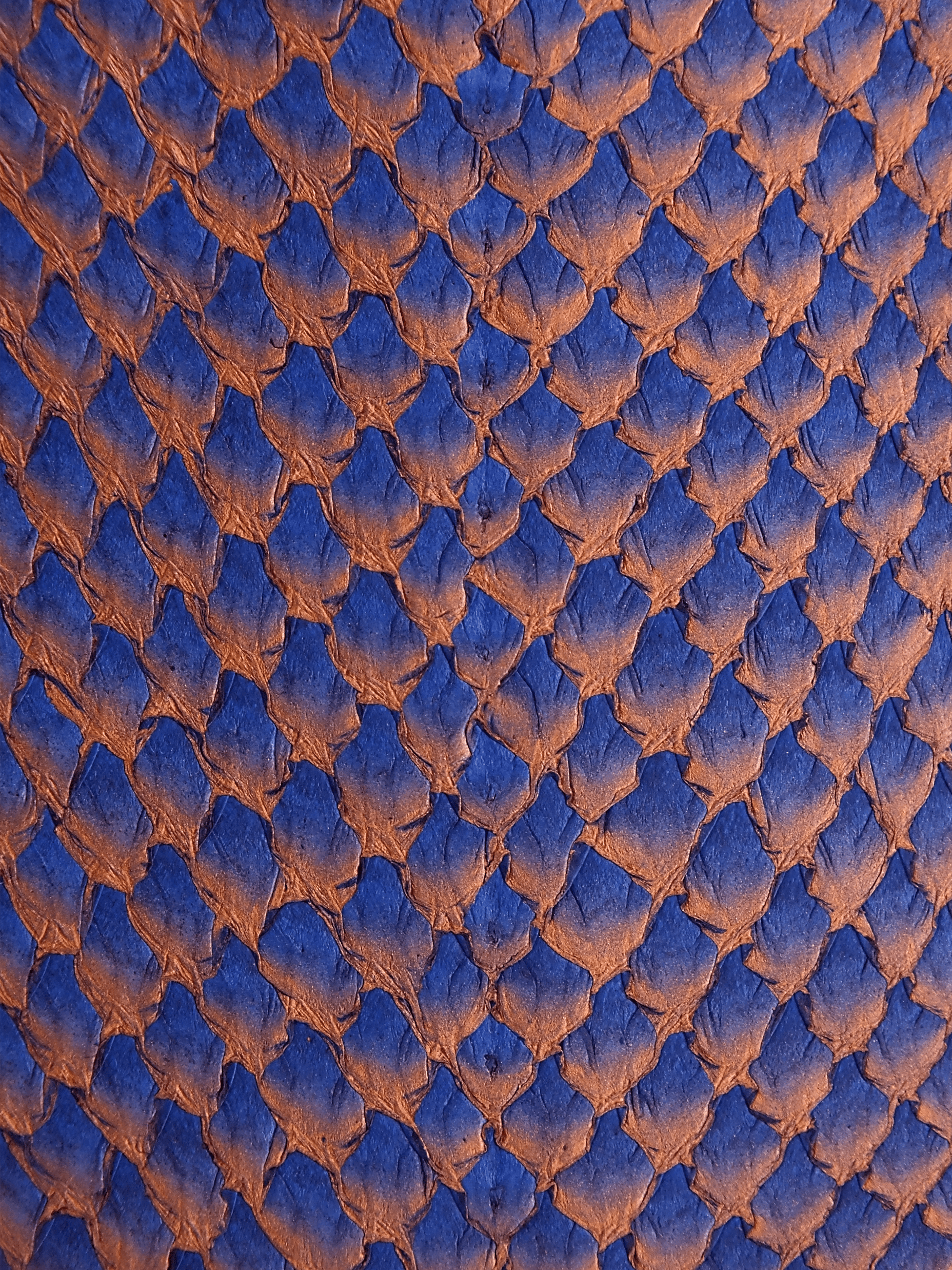 SQUAMA® DÉGRADÉ Odyssée ictyos-store