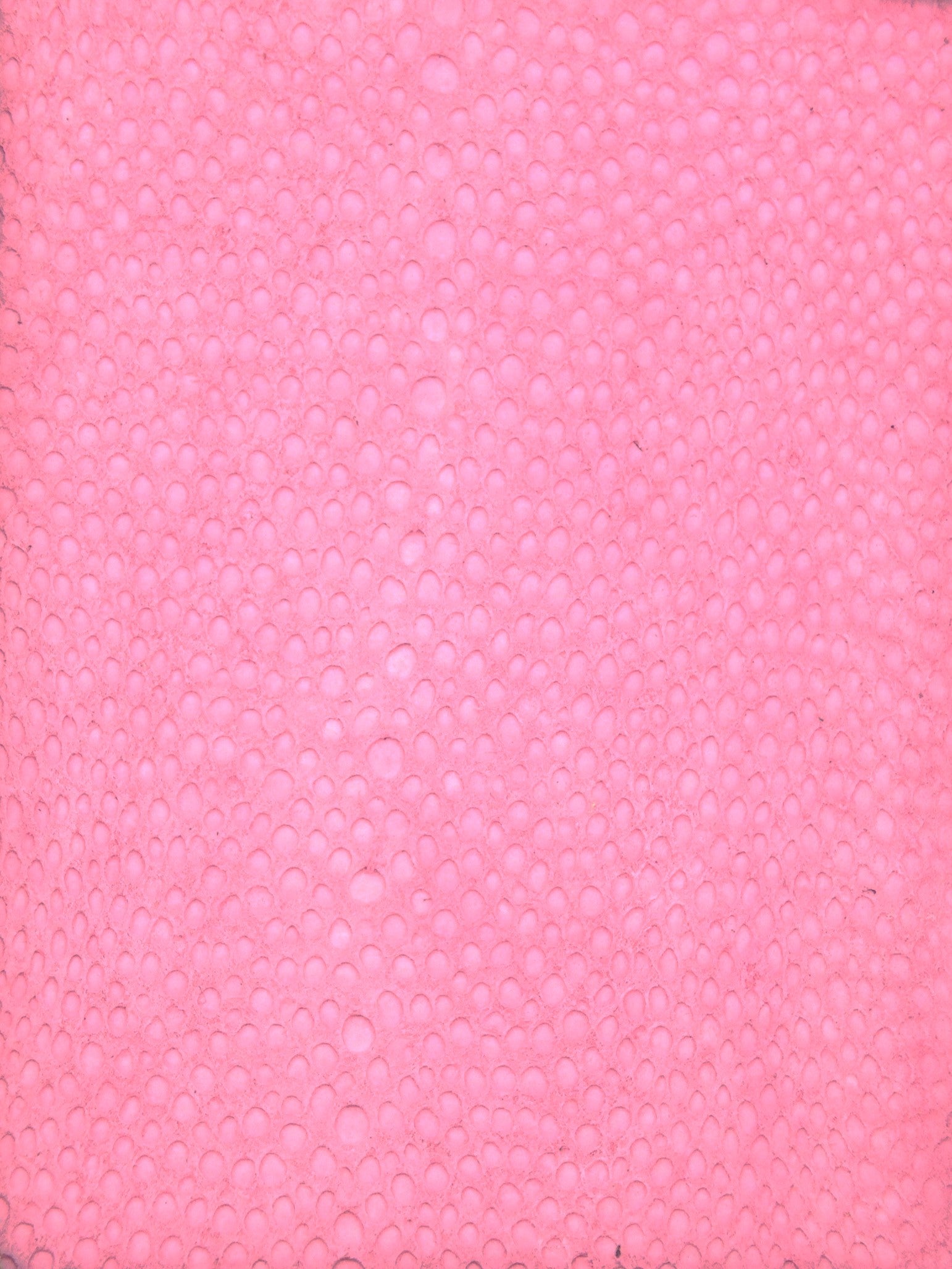 NAYA® BRUT Bonbon ictyos-store