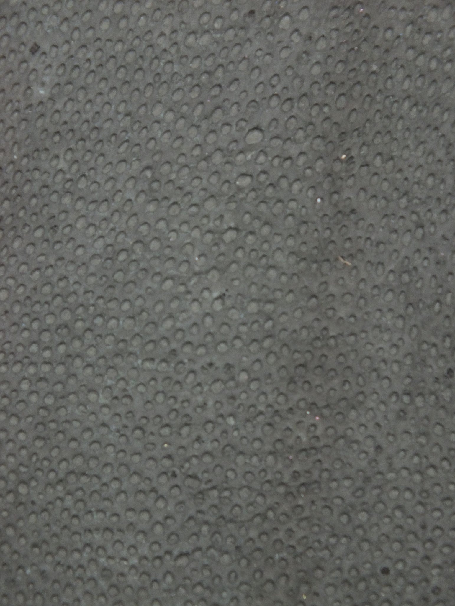 LUNA® BRUT Lotus (Copy) ictyos-store