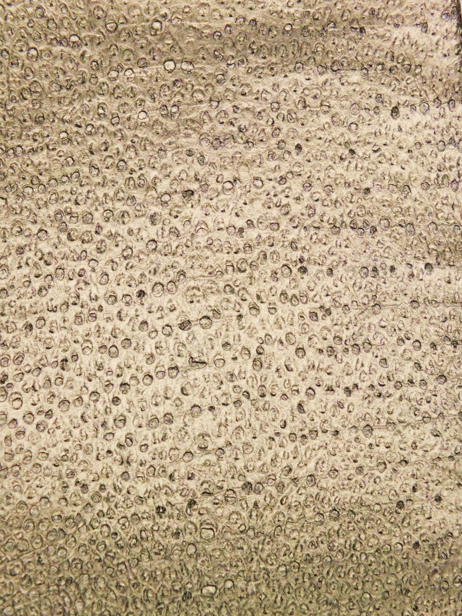 NAYA® MÉTALLISÉ Champagne ictyos-store