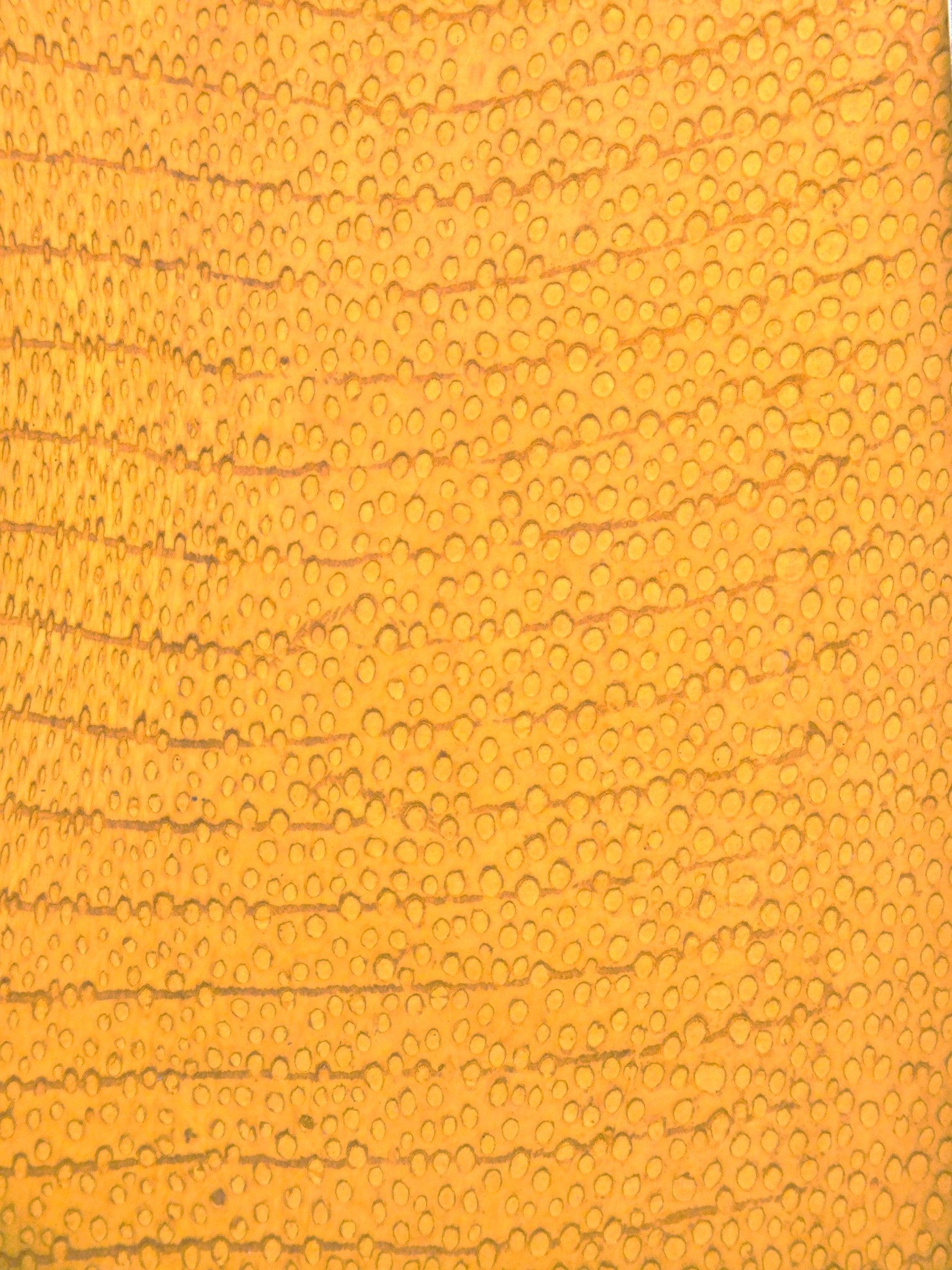 NAYA® SATINÉ Tournesol ictyos-store