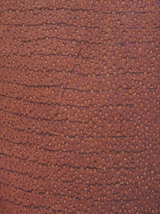 NAYA® SATINÉ Havane ictyos-store