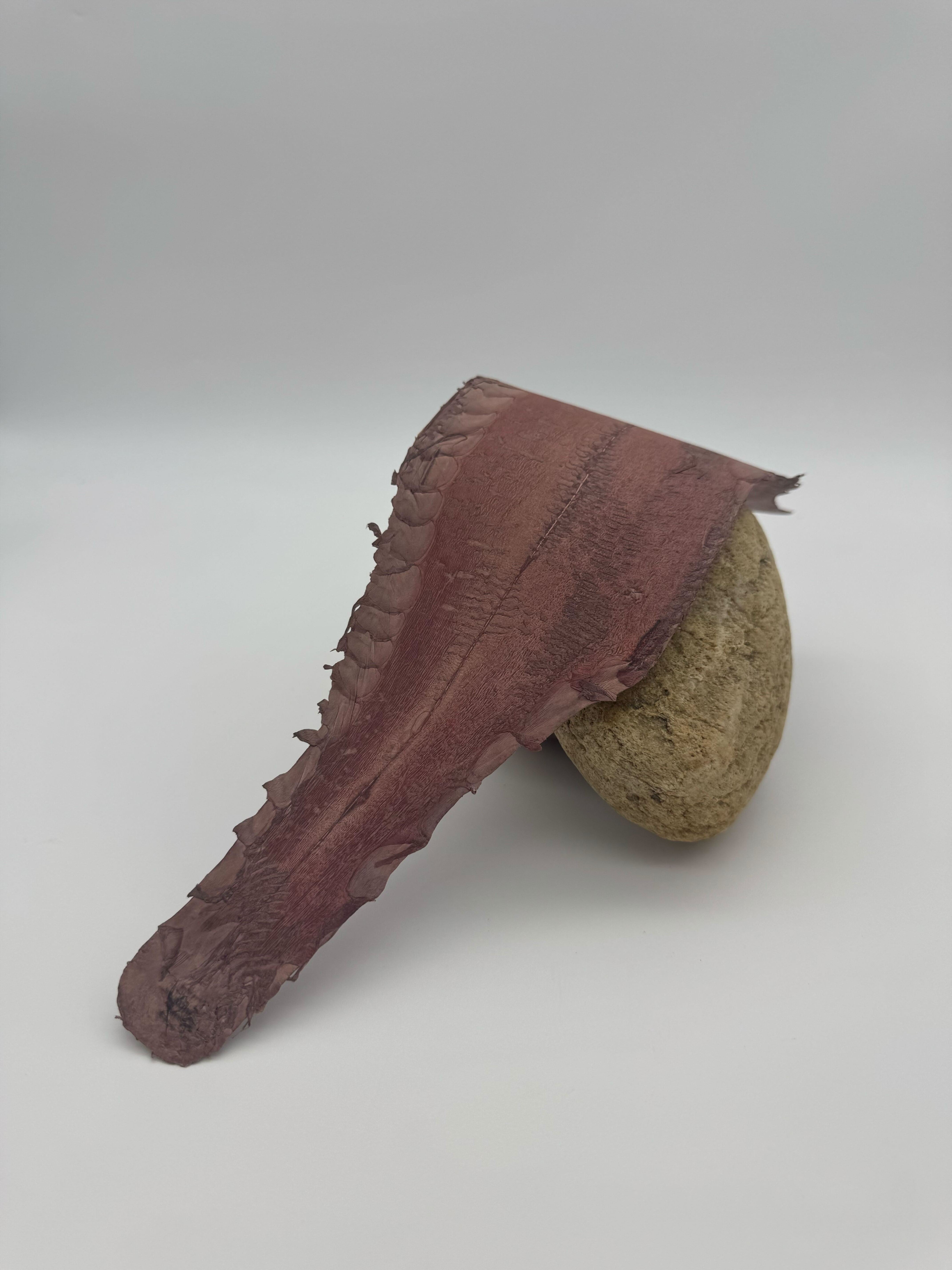 CUIR DE CARPE® SATINÉ Façade ictyos-store