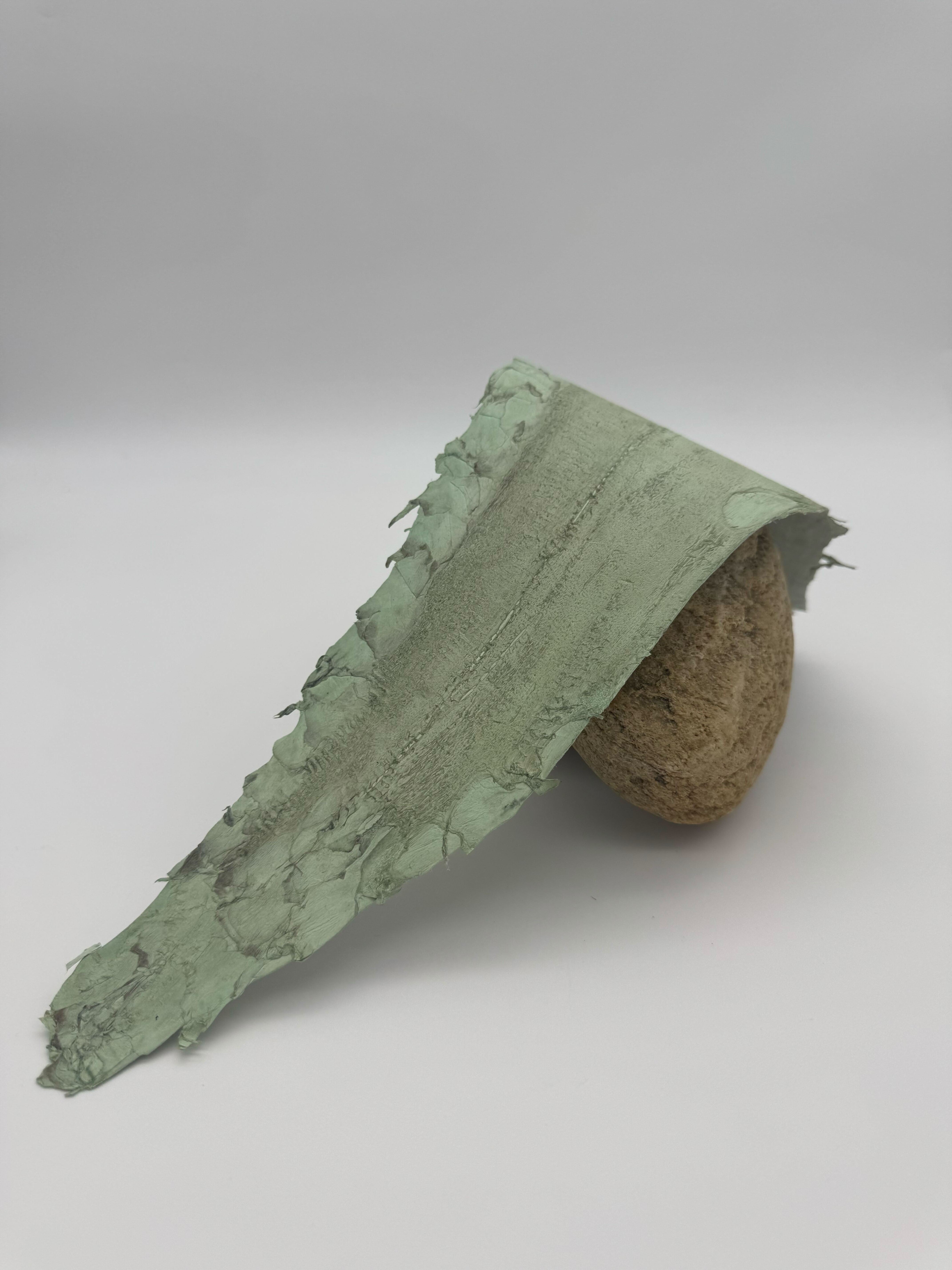 CUIR DE CARPE® SATINÉ Pistache ictyos-store