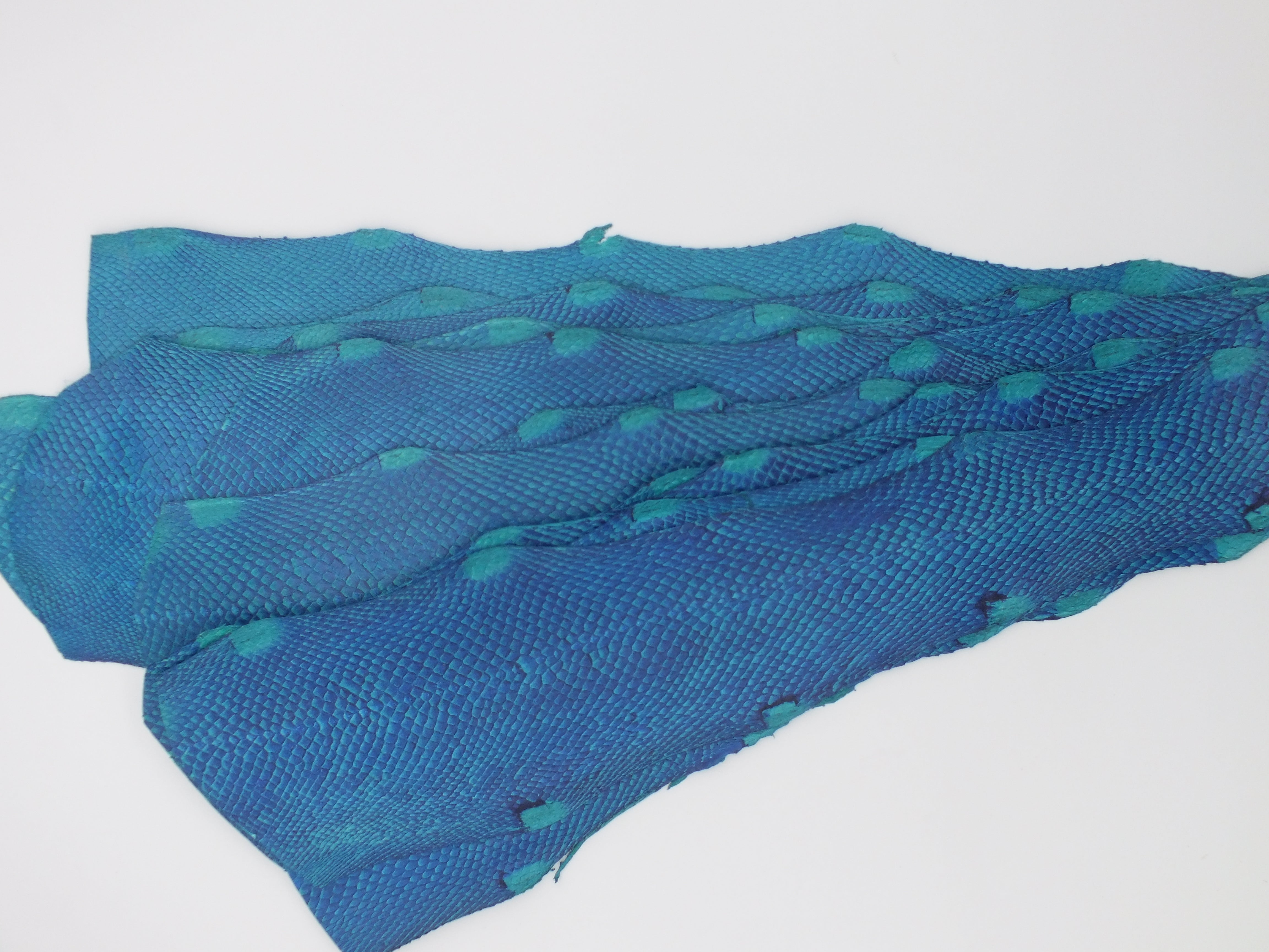 LOT de 10 SQUAMA DÉGRADÉ Bleu sur Bleu - Taille Medium - Choix 1 ICTYOS