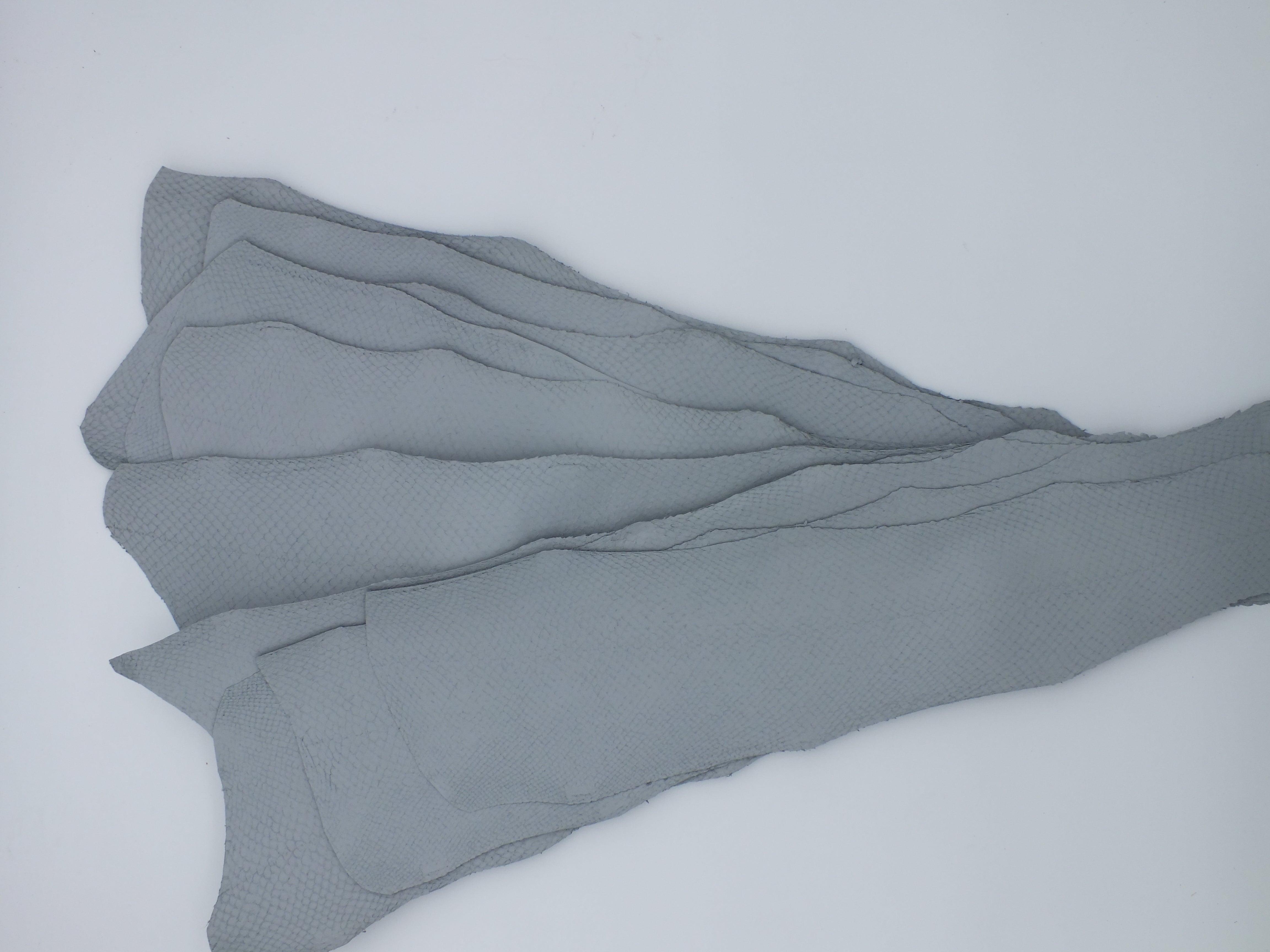 LOT de 10 SQUAMA SATINÉ Nuage - Taille Large - Choix 2 ICTYOS