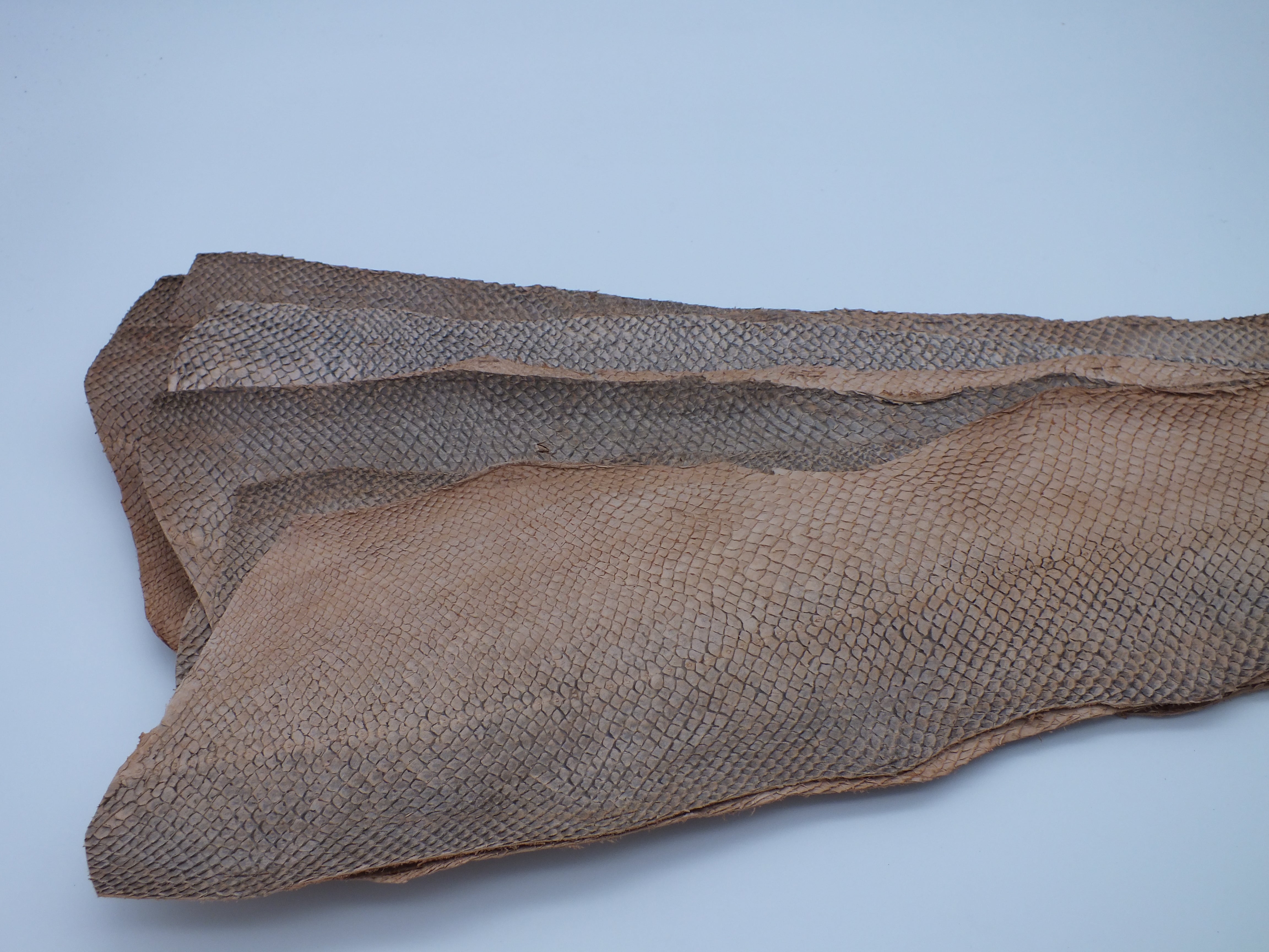 PACK de 10 SQUAMA BRUT Quebracho - Taille Large - Choix 1