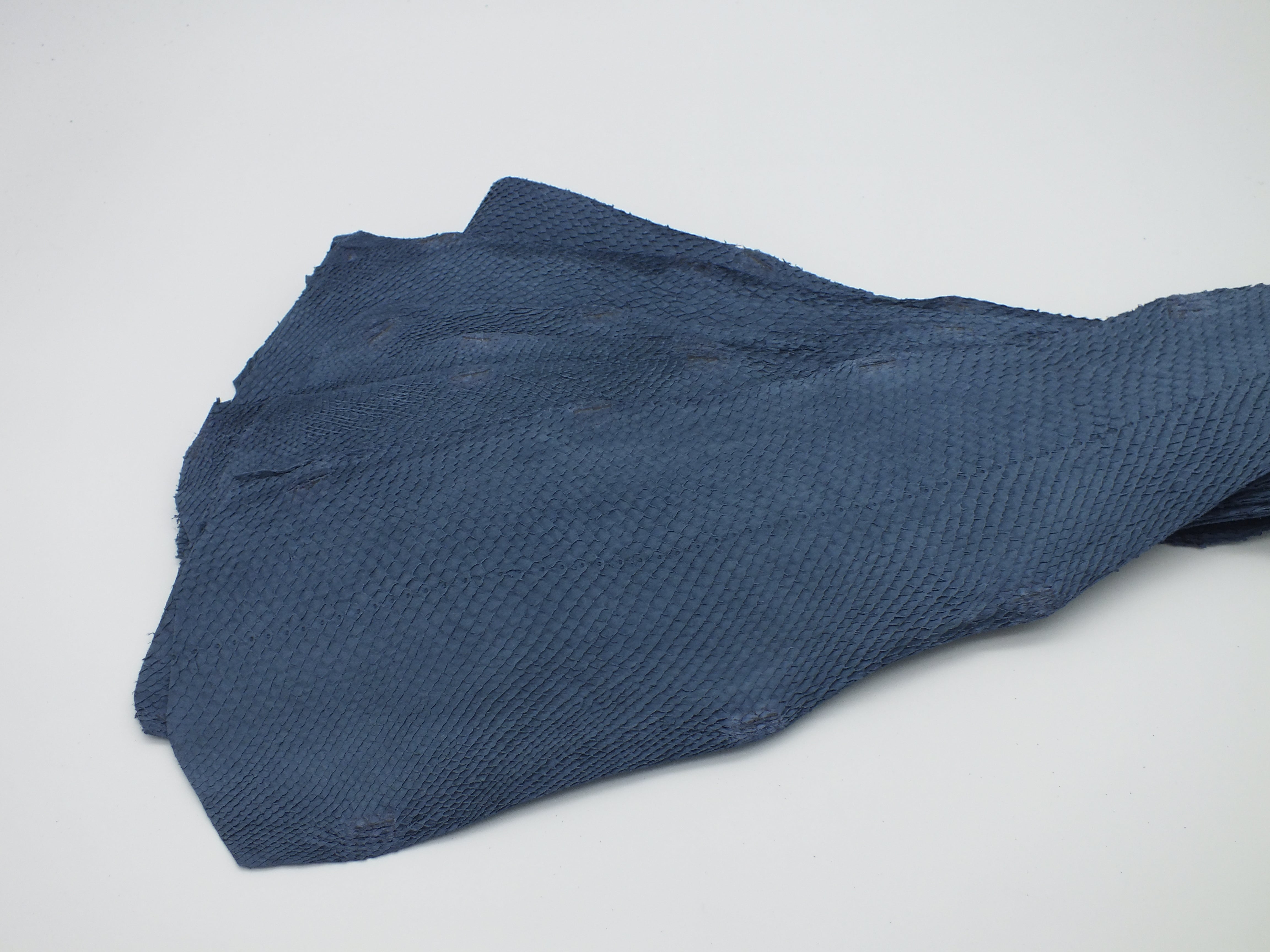 PACK de 10 SQUAMA BRUT Bleu Abysse Profond - Taille Large - Choix 1