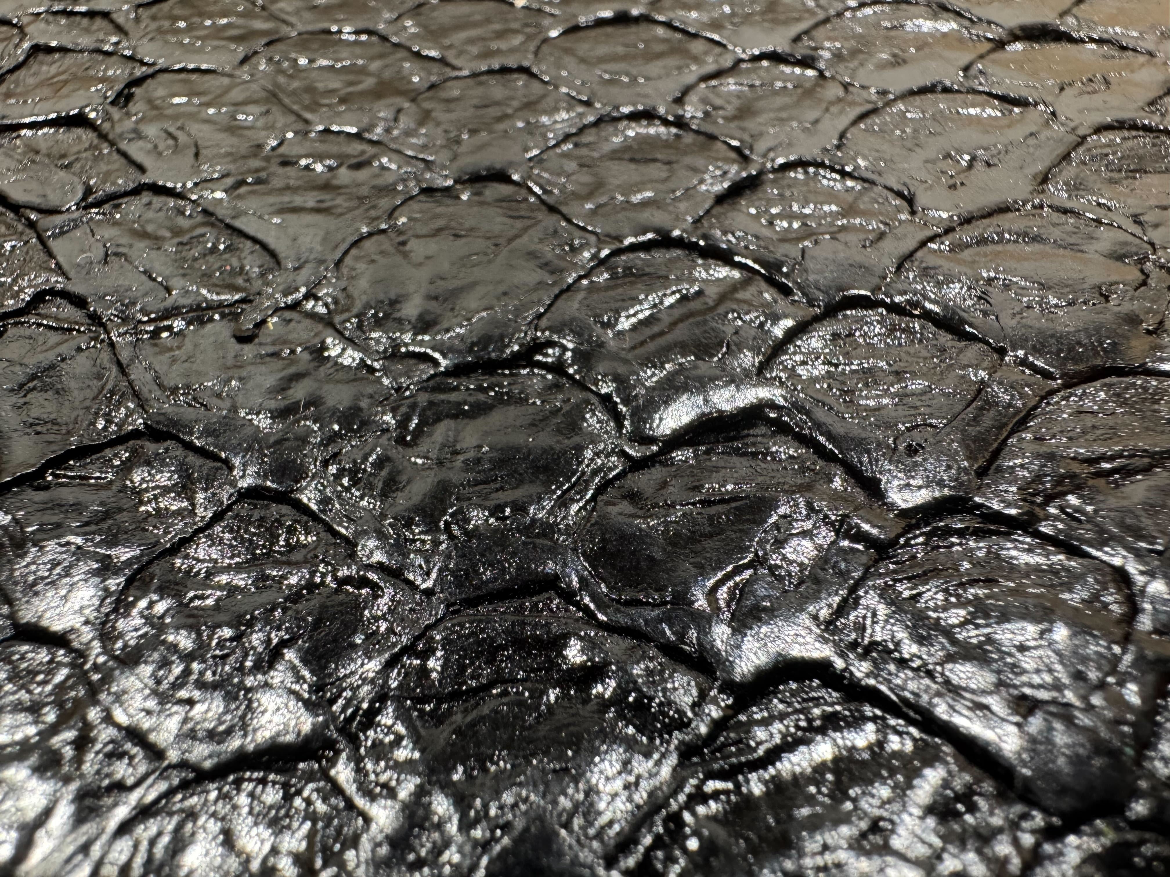 ARAPAIMA BRILLANT Noir d'encre ictyos-store