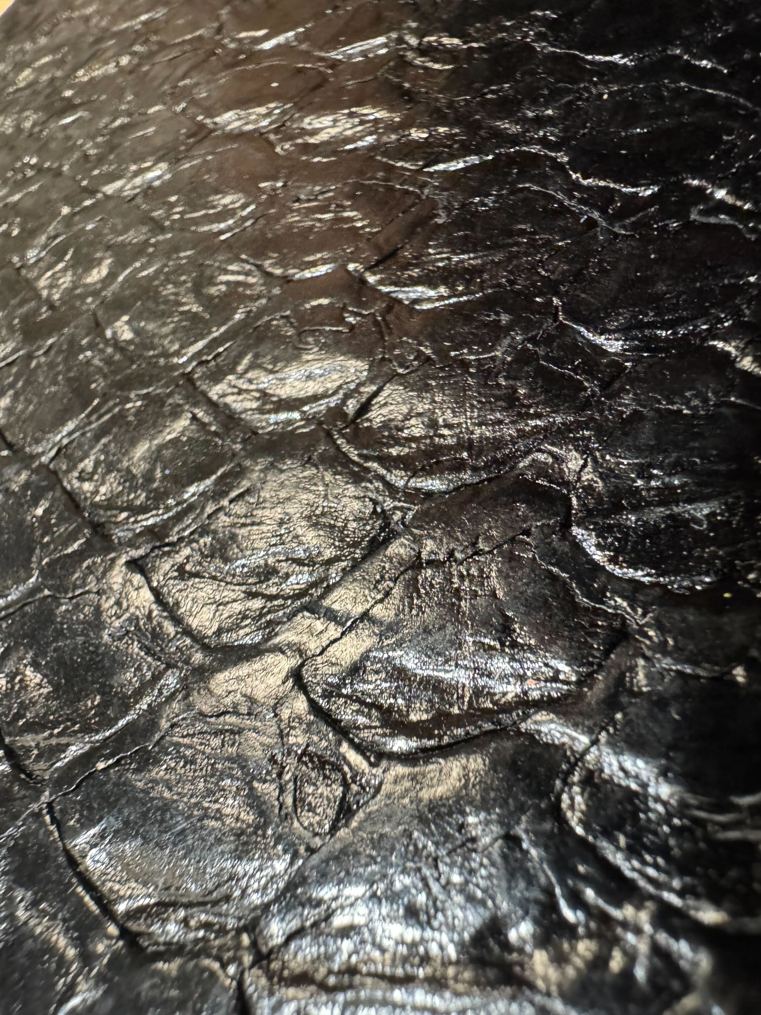 ARAPAIMA BRILLANT Noir d'encre ictyos-store