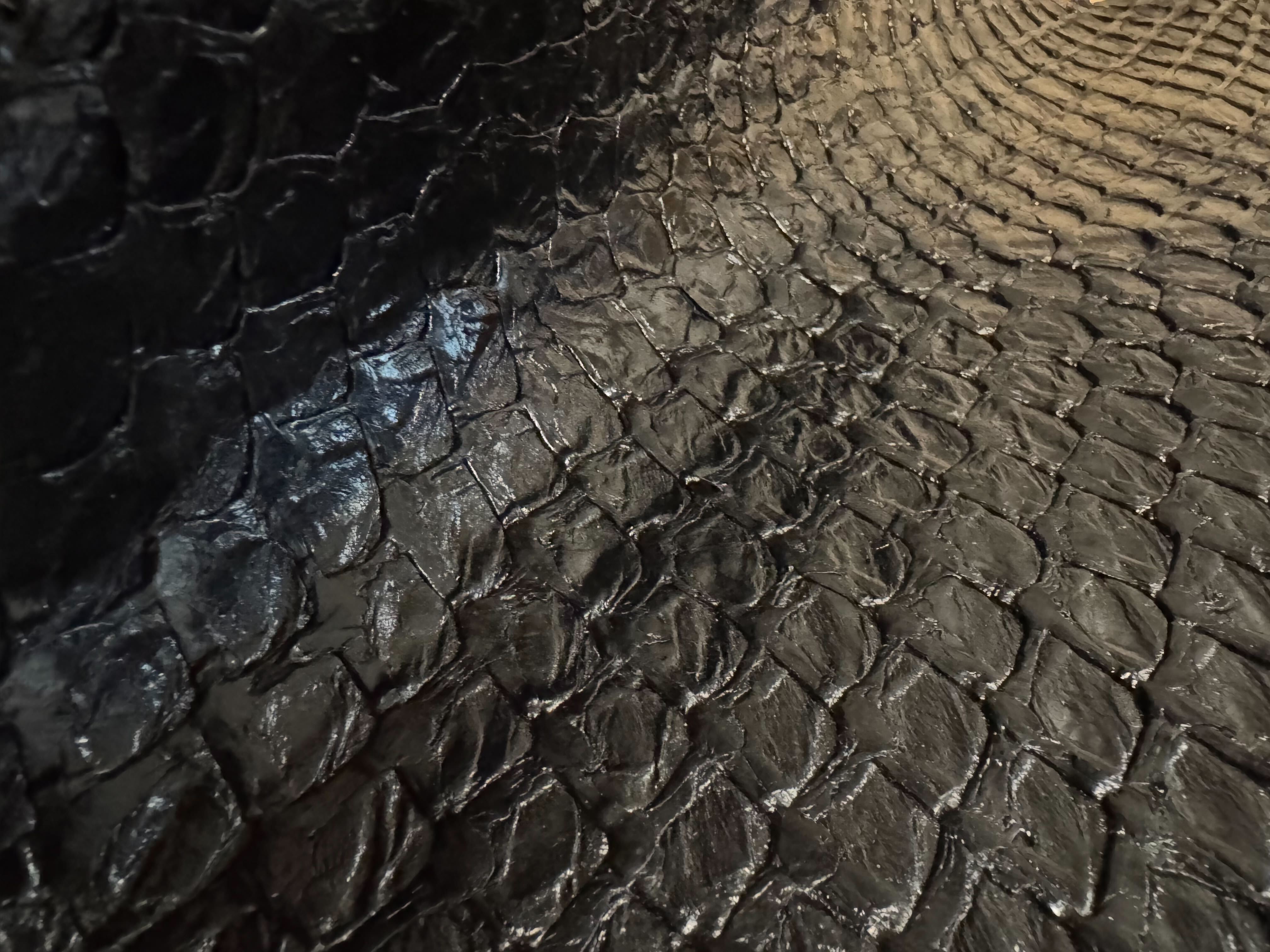 ARAPAIMA BRILLANT Noir d'encre ictyos-store