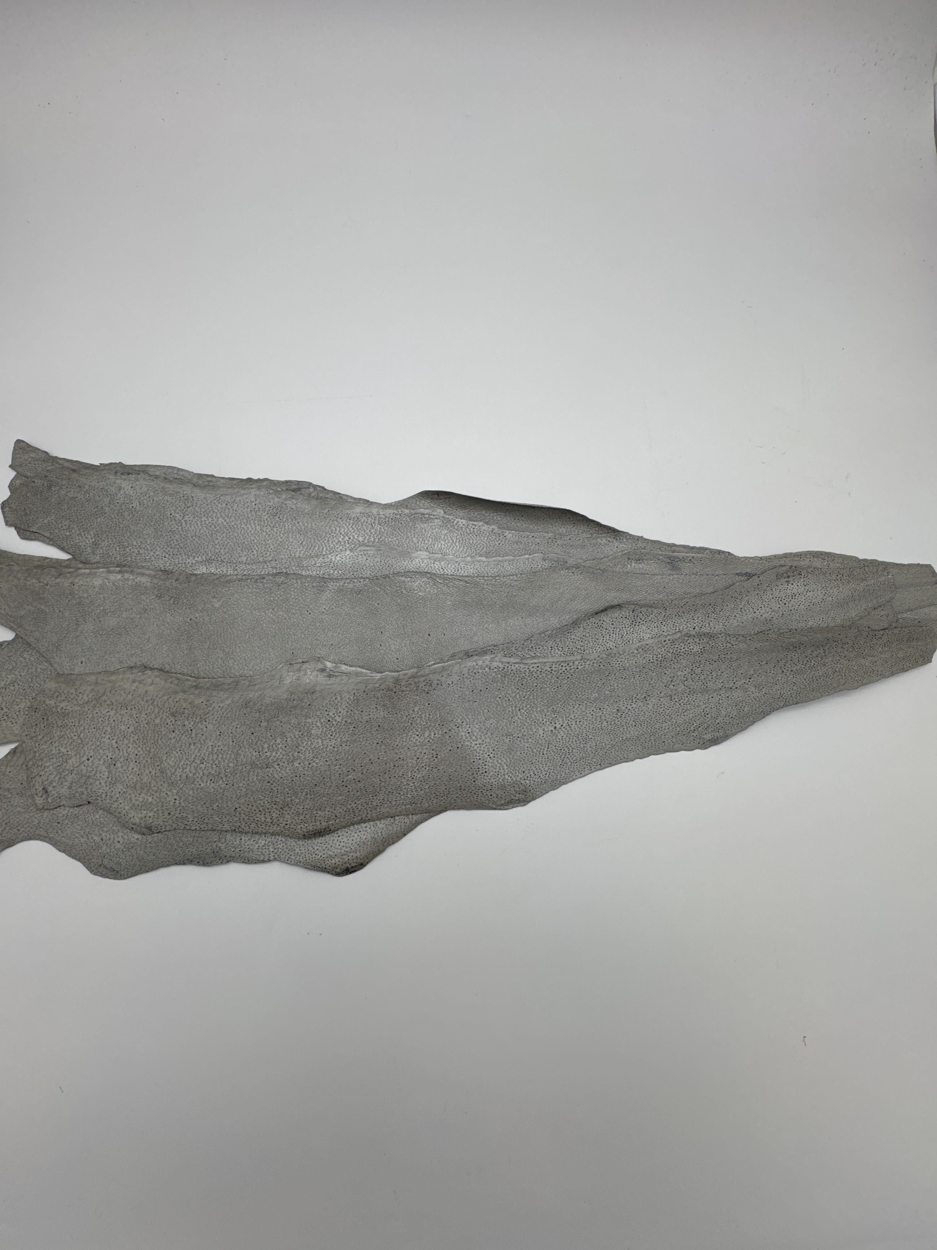 PACK DE 10 NAYA® MÉTALLISÉ Gris - Medium (Copie) ictyos-store