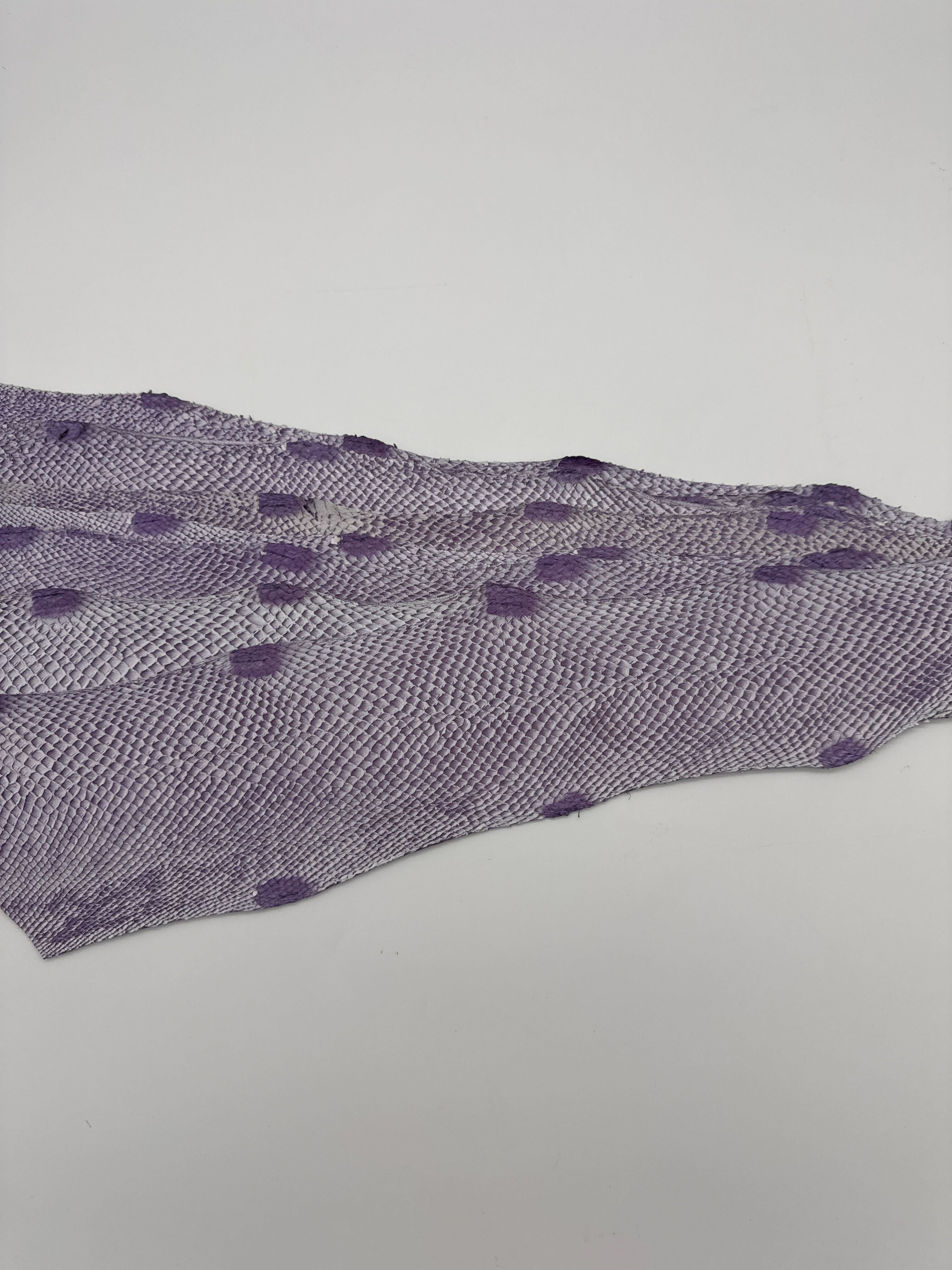 PACK de 10 SQUAMA DÉGRADÉ Blanc sur Aubergine - Taille Large - Choix 1 ICTYOS