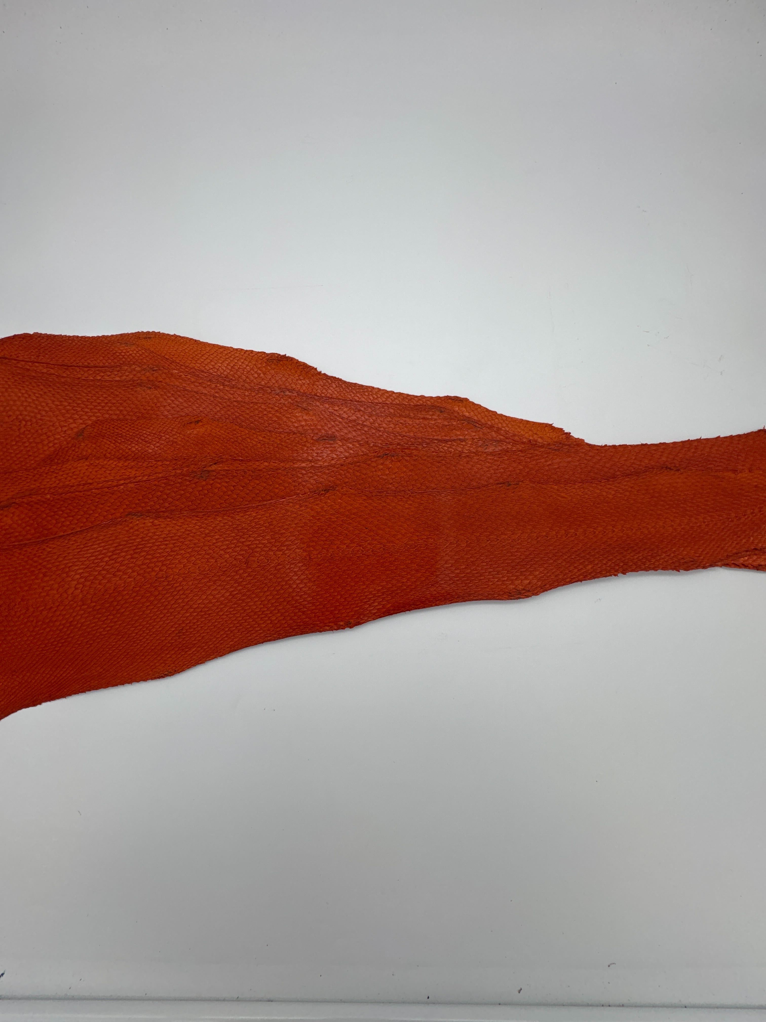 PACK de 10 SQUAMA BRILLANT Terracota - Taille Large - Choix 1 ICTYOS