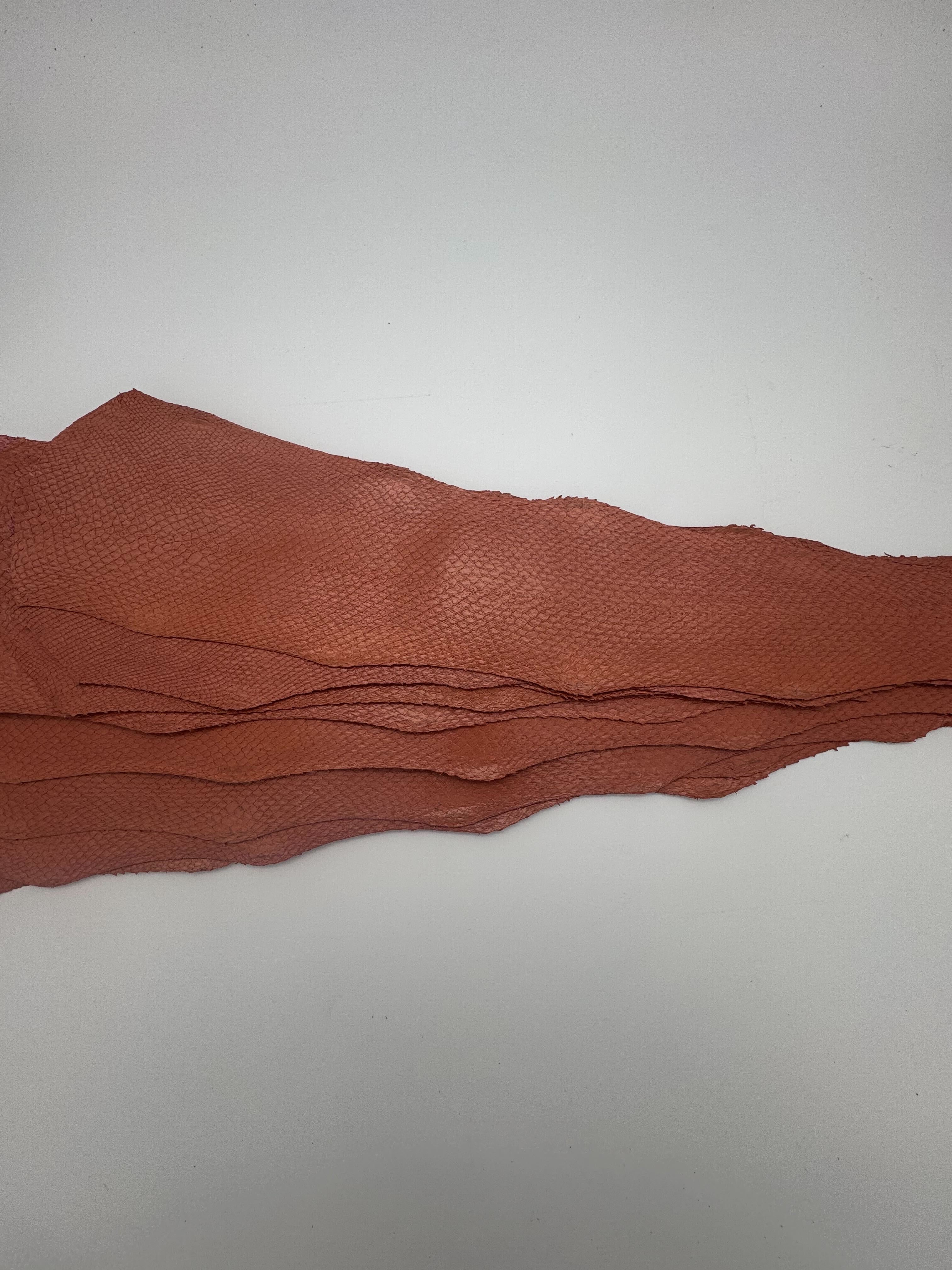 PACK de 10 SQUAMA MÉTALLISÉ Rose - Taille Medium - Choix 2 ICTYOS