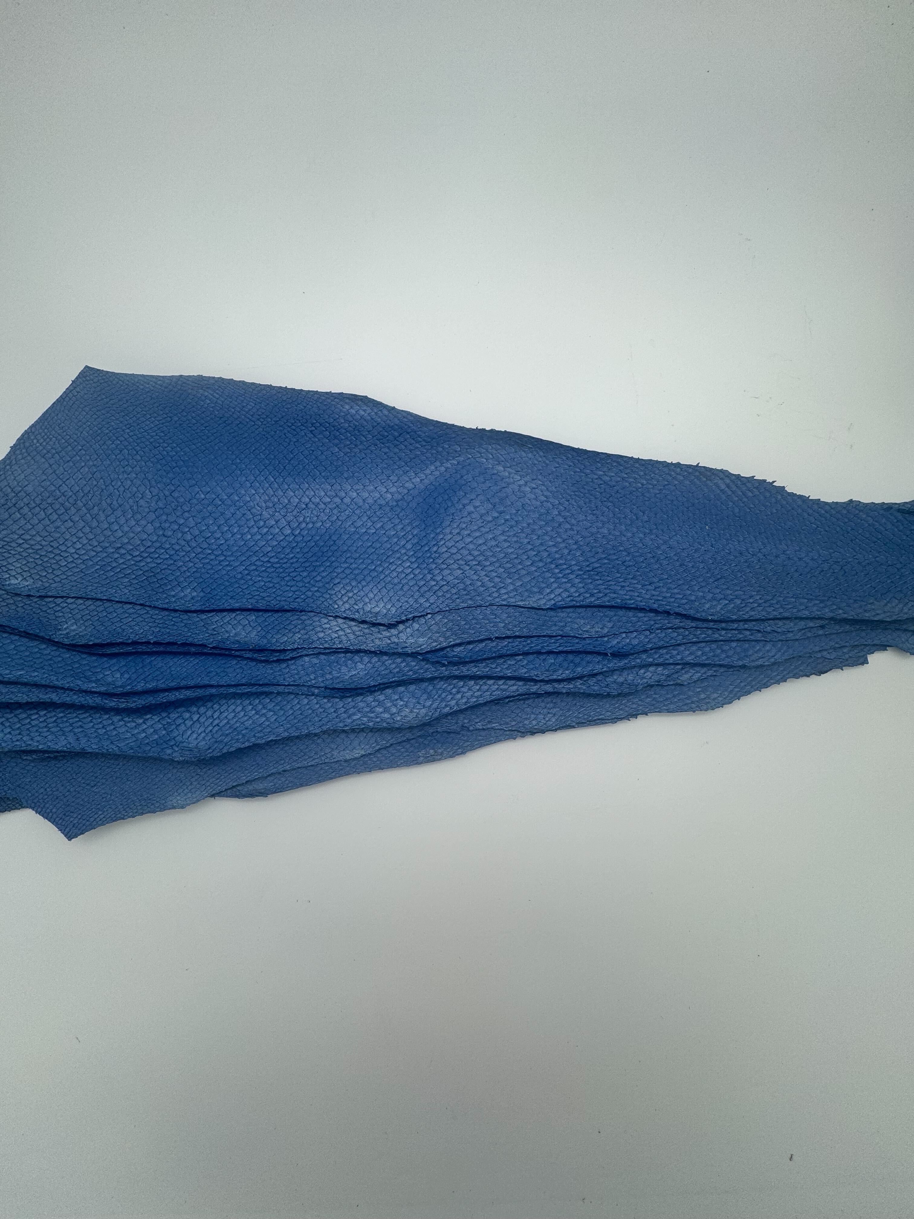 PACK de 10 SQUAMA MÉTALLISÉ Bleu - Taille Large - Choix 1 ICTYOS