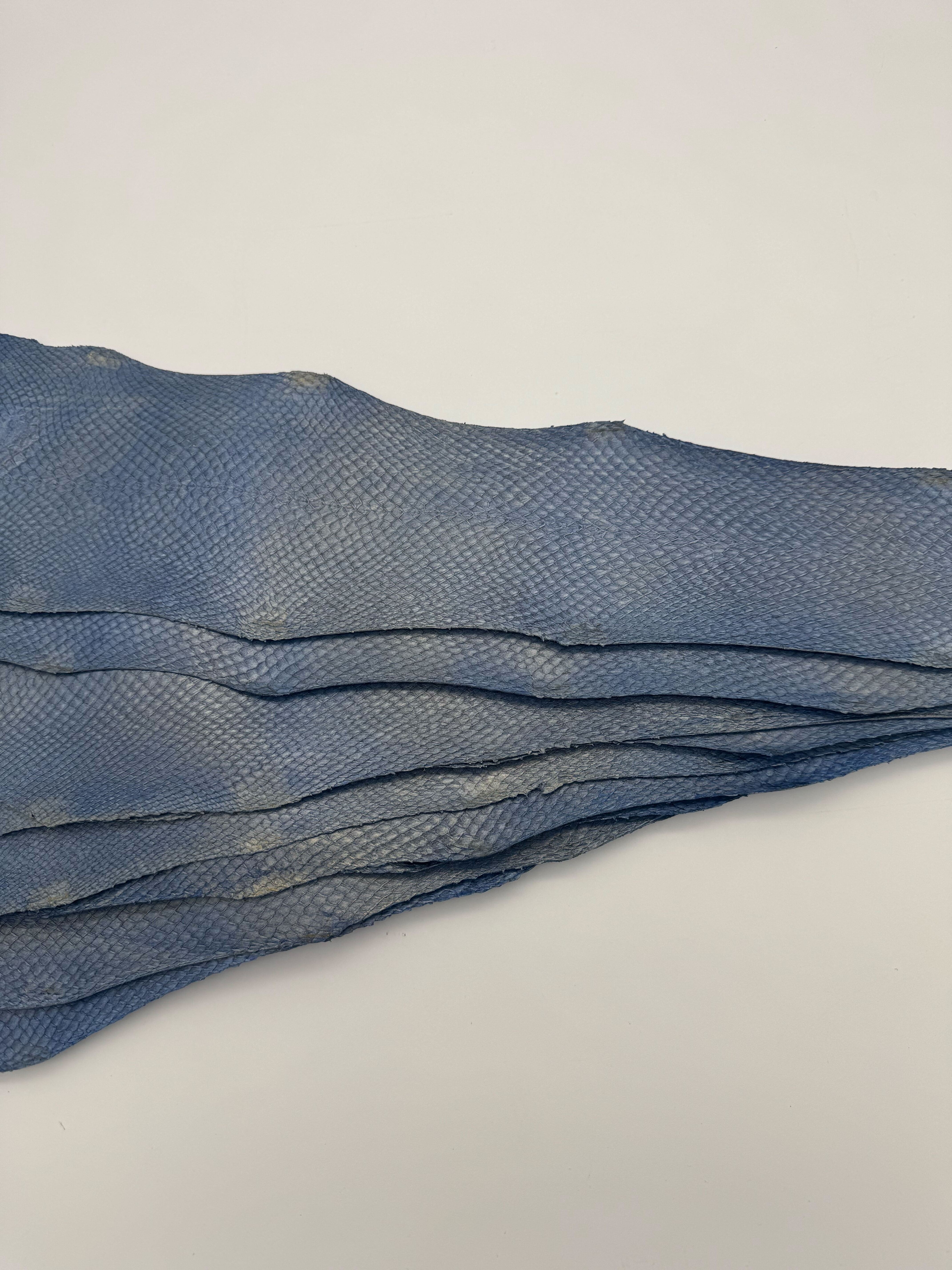 PACK de 10 SQUAMA MÉTALLISÉ Bleu Rivage Doré - Taille Large - Choix 1 ICTYOS