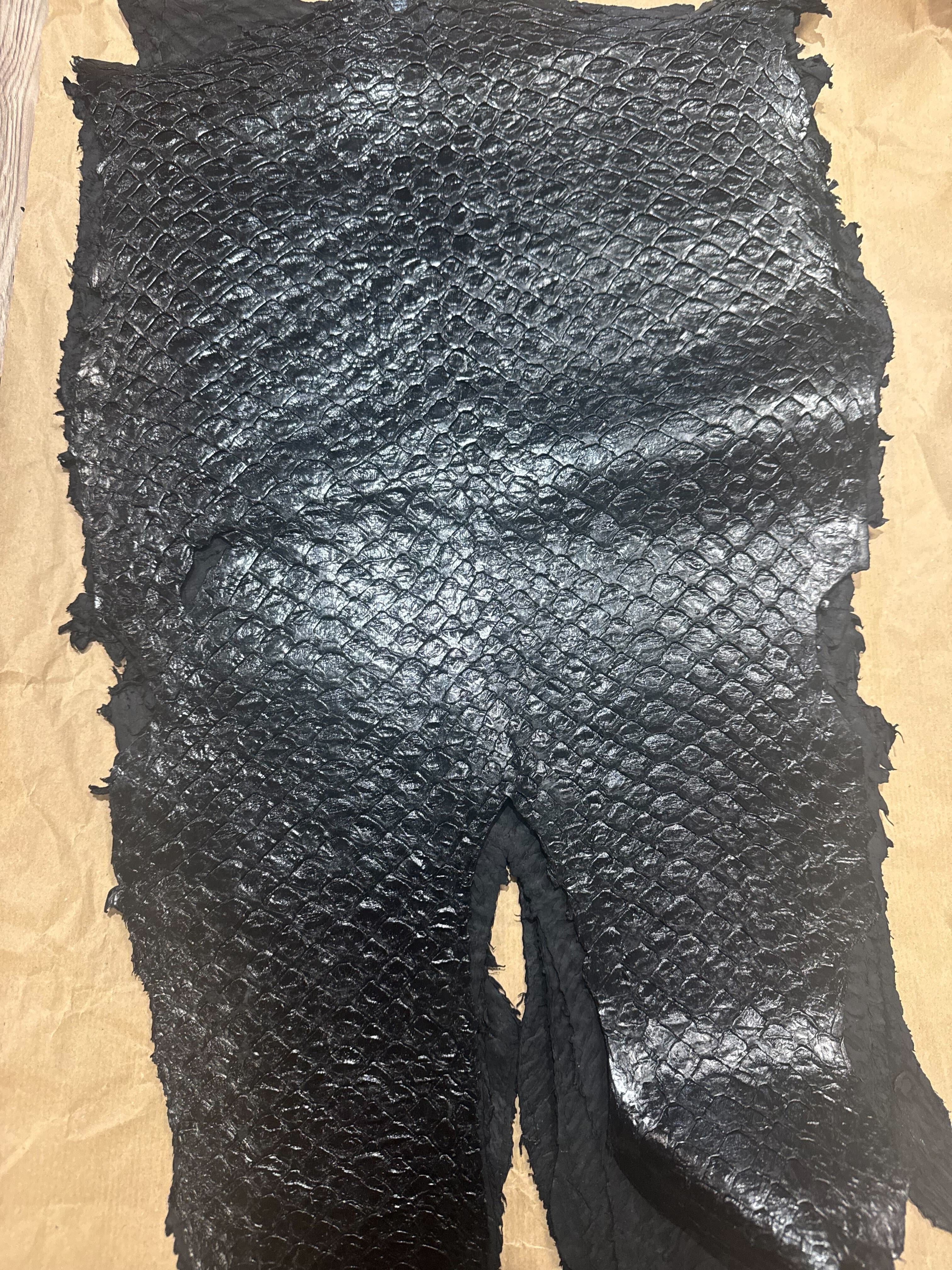 ARAPAIMA BRILLANT Noir d'encre ictyos-store