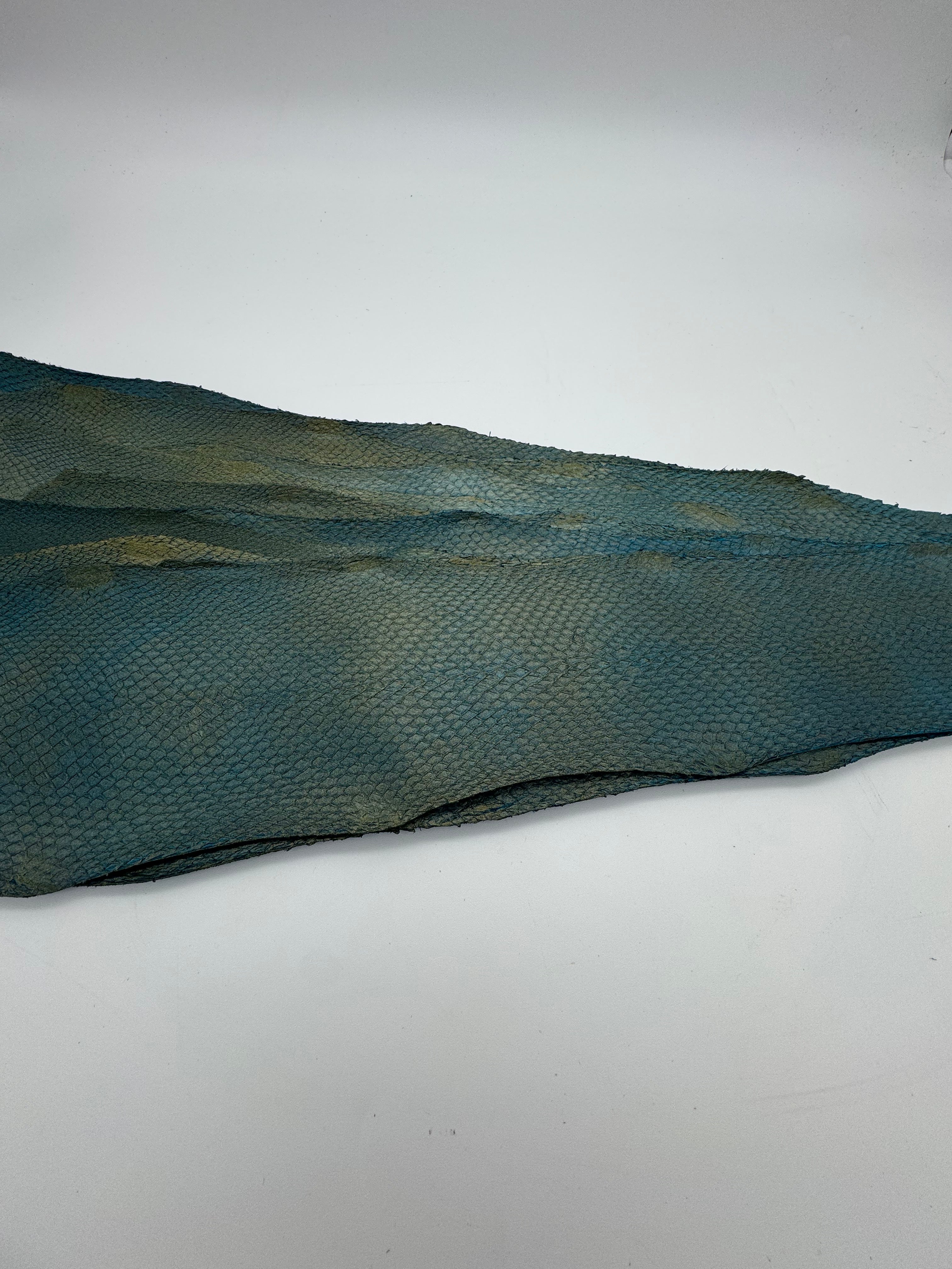 PACK de 10 SQUAMA MÉTALLISÉ Bleu Antique - Taille Medium - Choix 1 ICTYOS