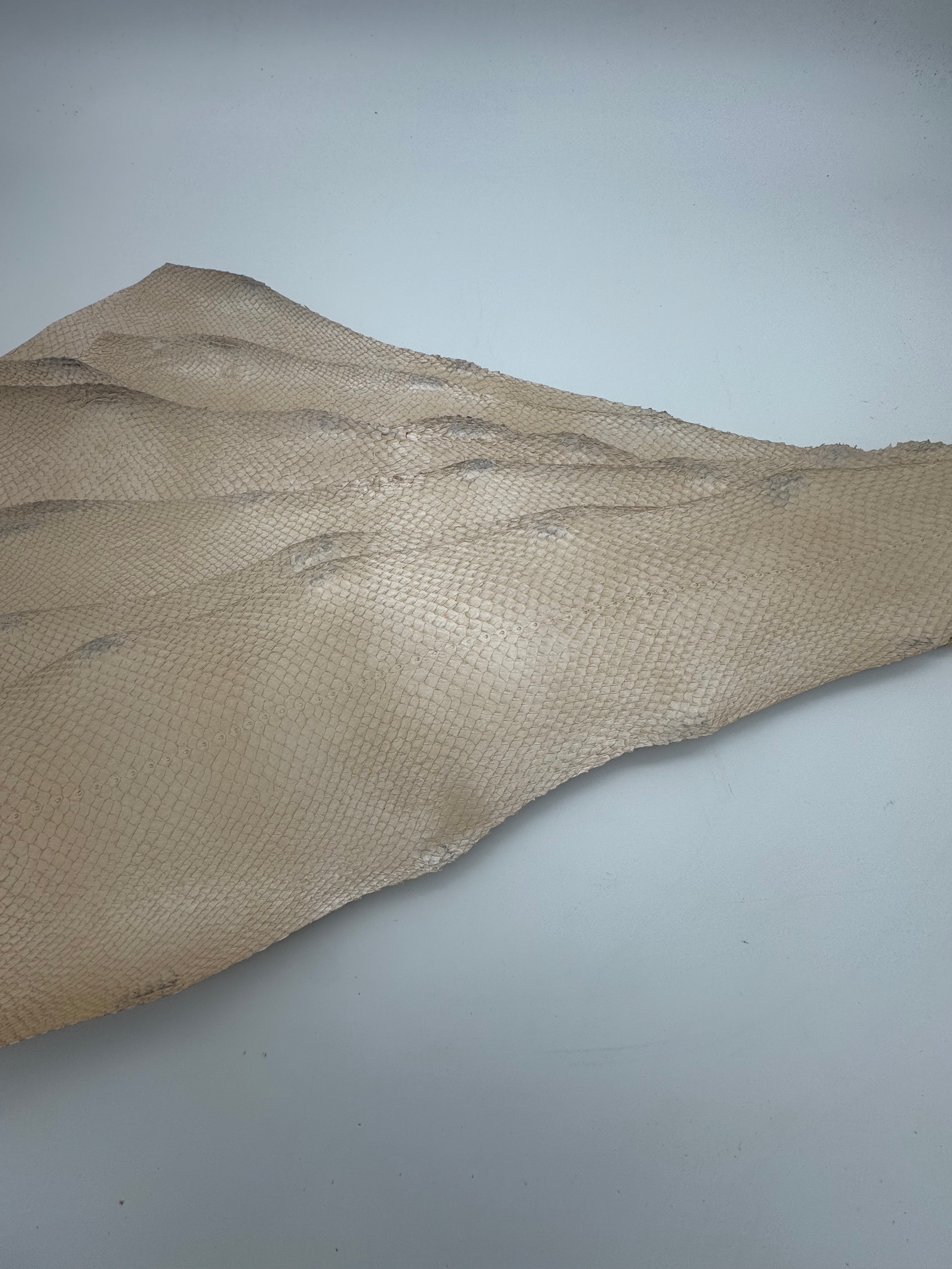 PACK de 10 SQUAMA MÉTALLISÉ Nacre - Taille Large - Choix 1 ICTYOS