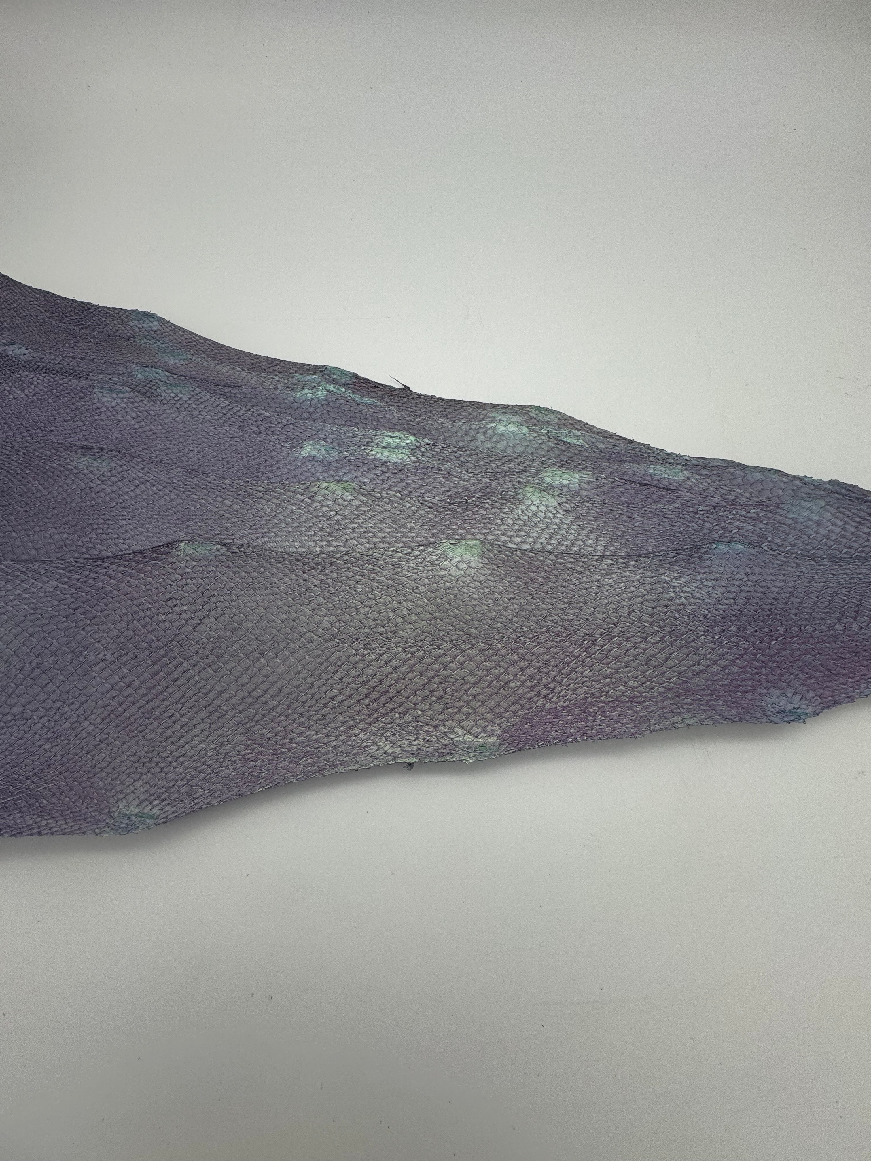 PACK de 10 SQUAMA MÉTALLISÉ Argent sur Violet - Taille Medium - Choix 1 ICTYOS