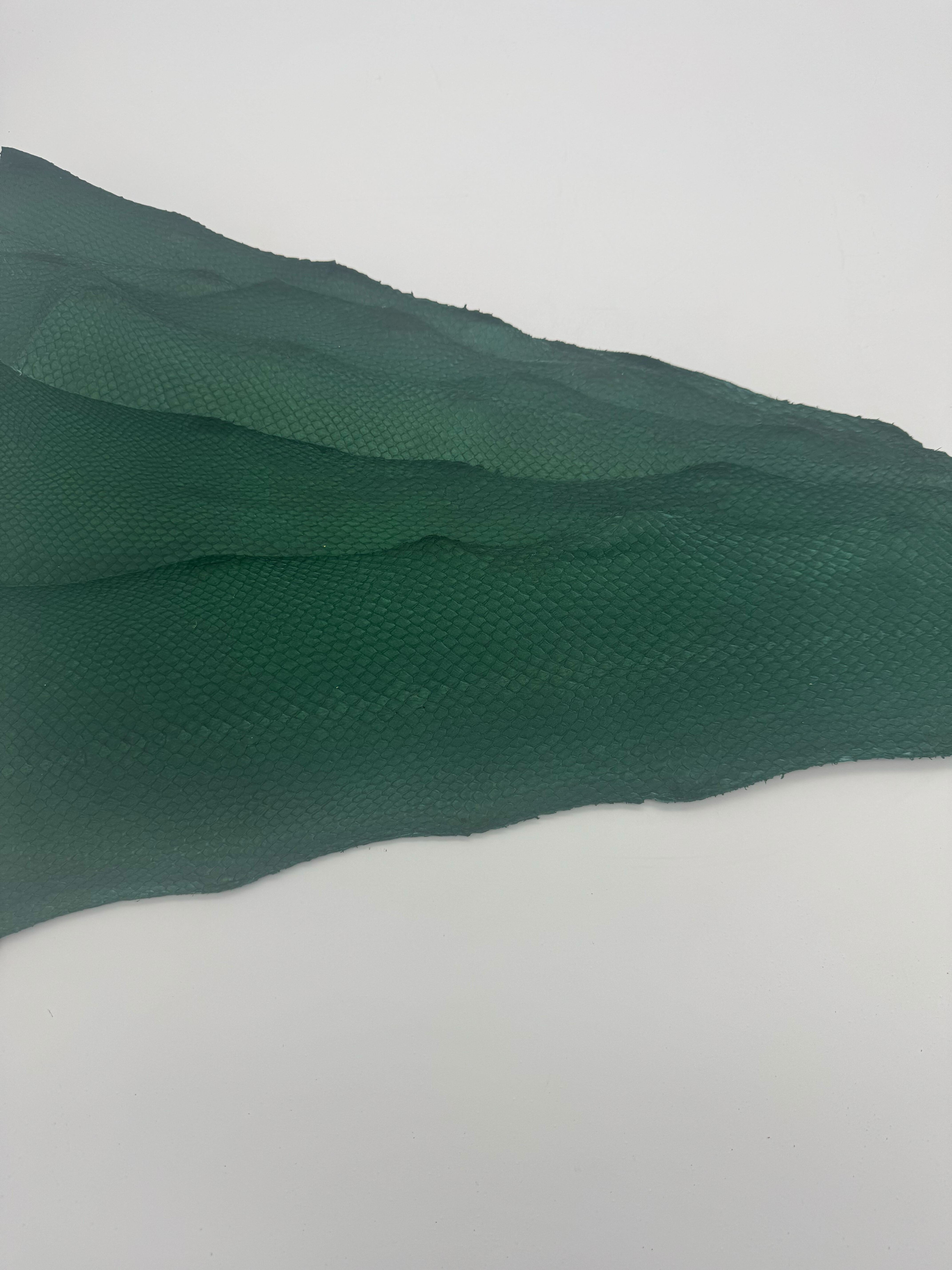 PACK de 10 SQUAMA SATINÉ Vert Sapin - Taille Large - Choix 1 ICTYOS