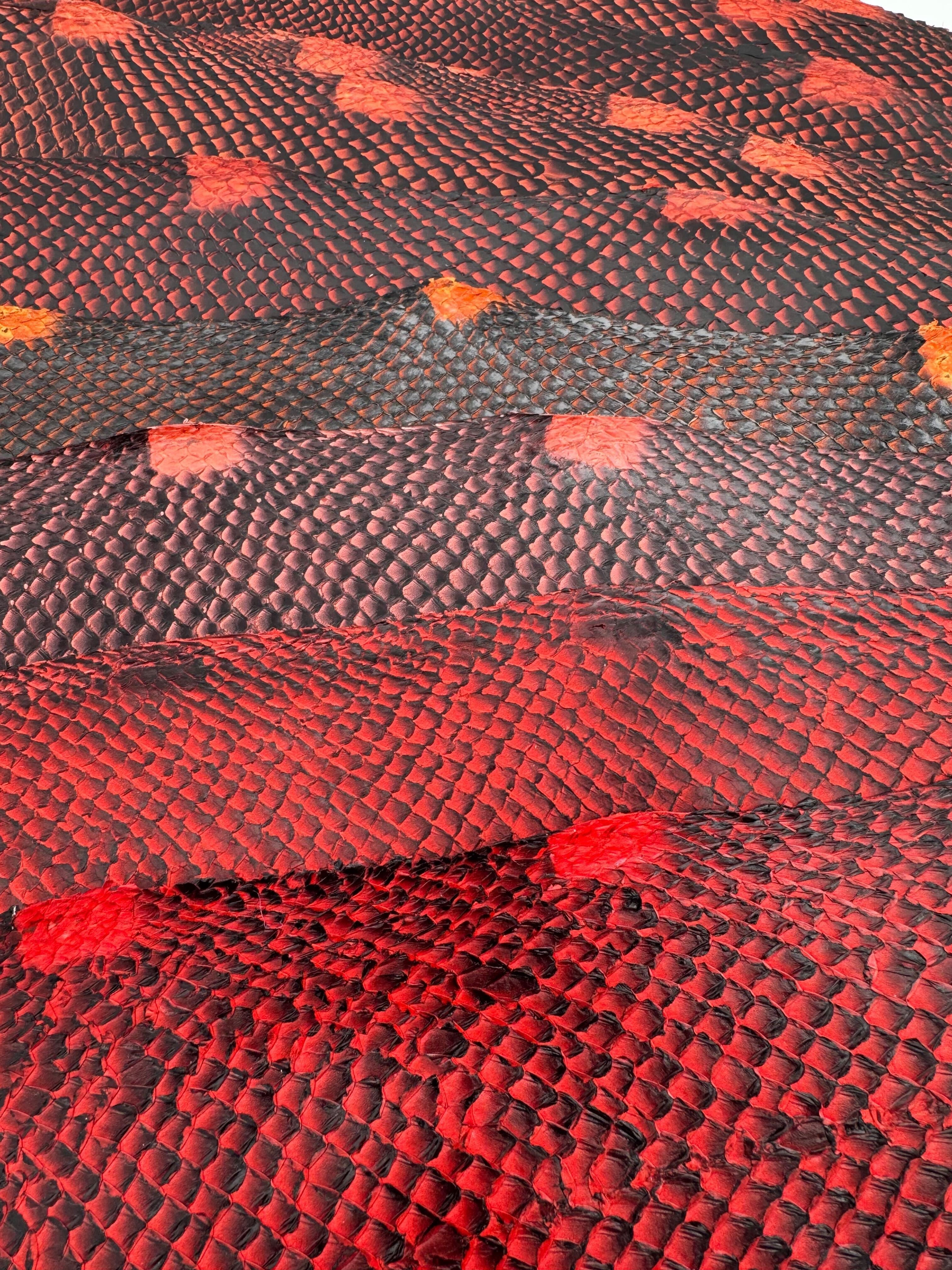 PACK de 10 SQUAMA DÉGRADÉ Autour des rouges - Taille Large - Choix 1 ICTYOS