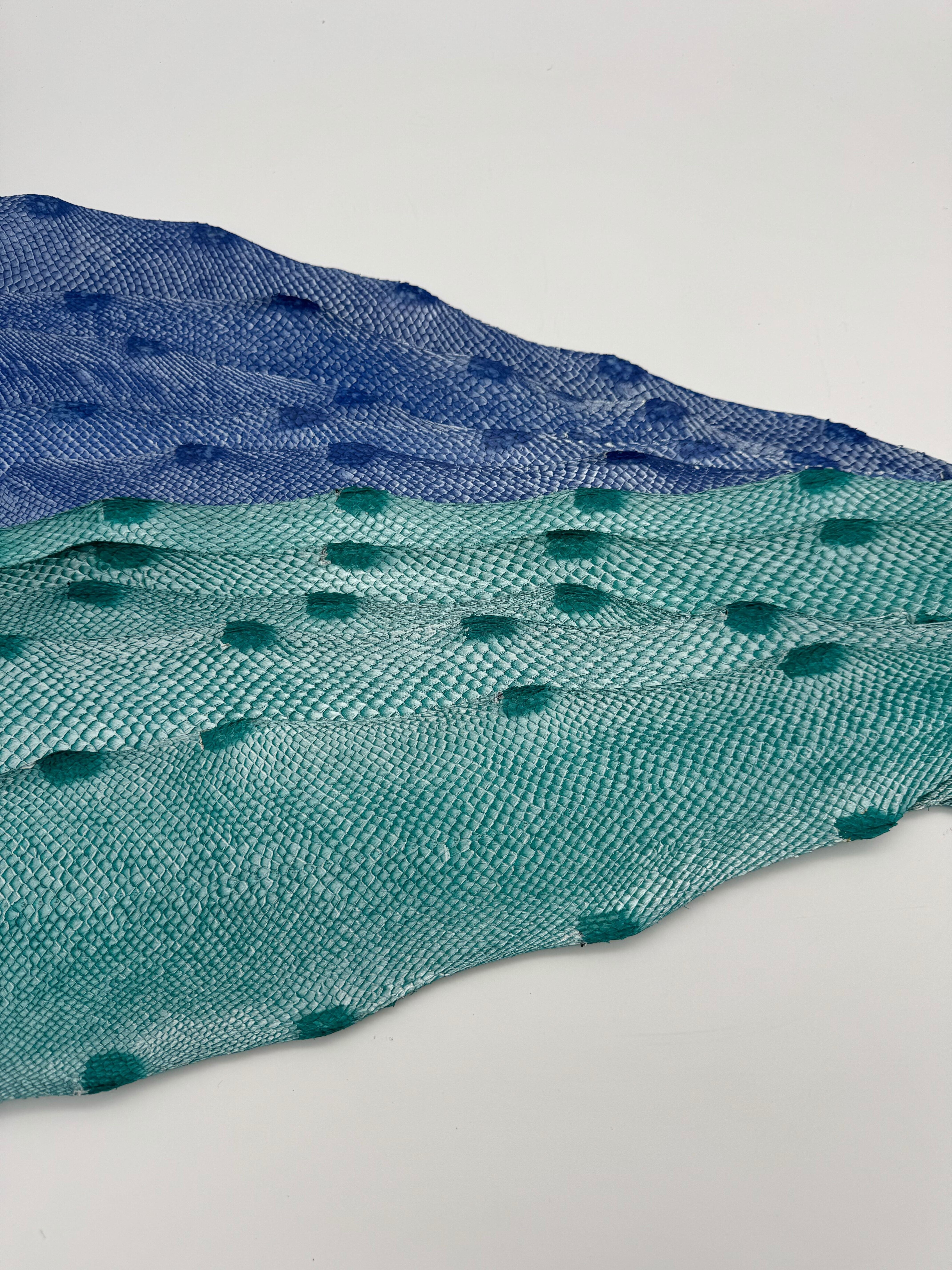 PACK de 10 SQUAMA DÉGRADÉ Variantes argentées - Taille Large - Choix 1 ICTYOS