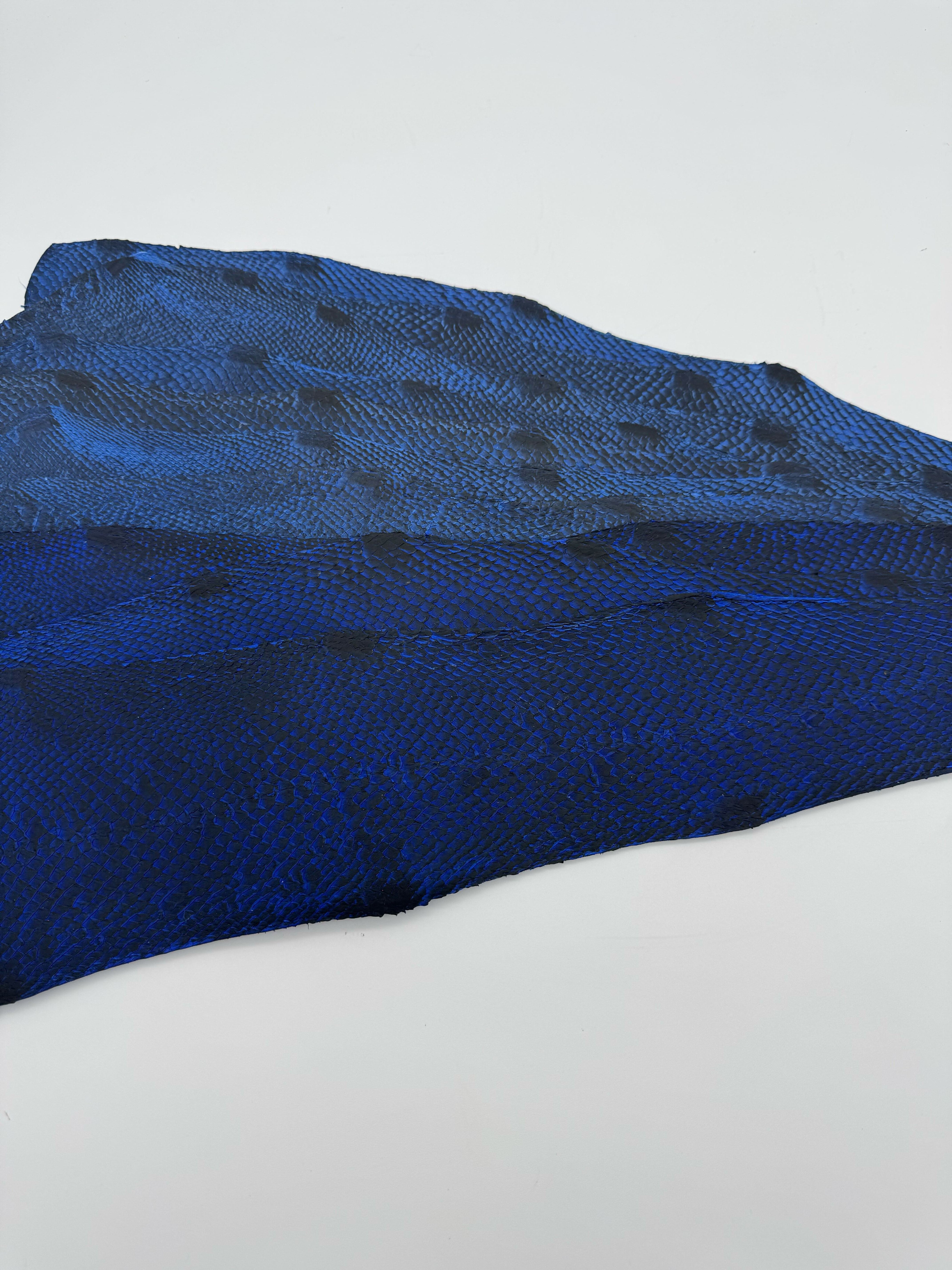 PACK de 10 SQUAMA DÉGRADÉ Variantes de bleus- Taille Large - Choix 1 ICTYOS