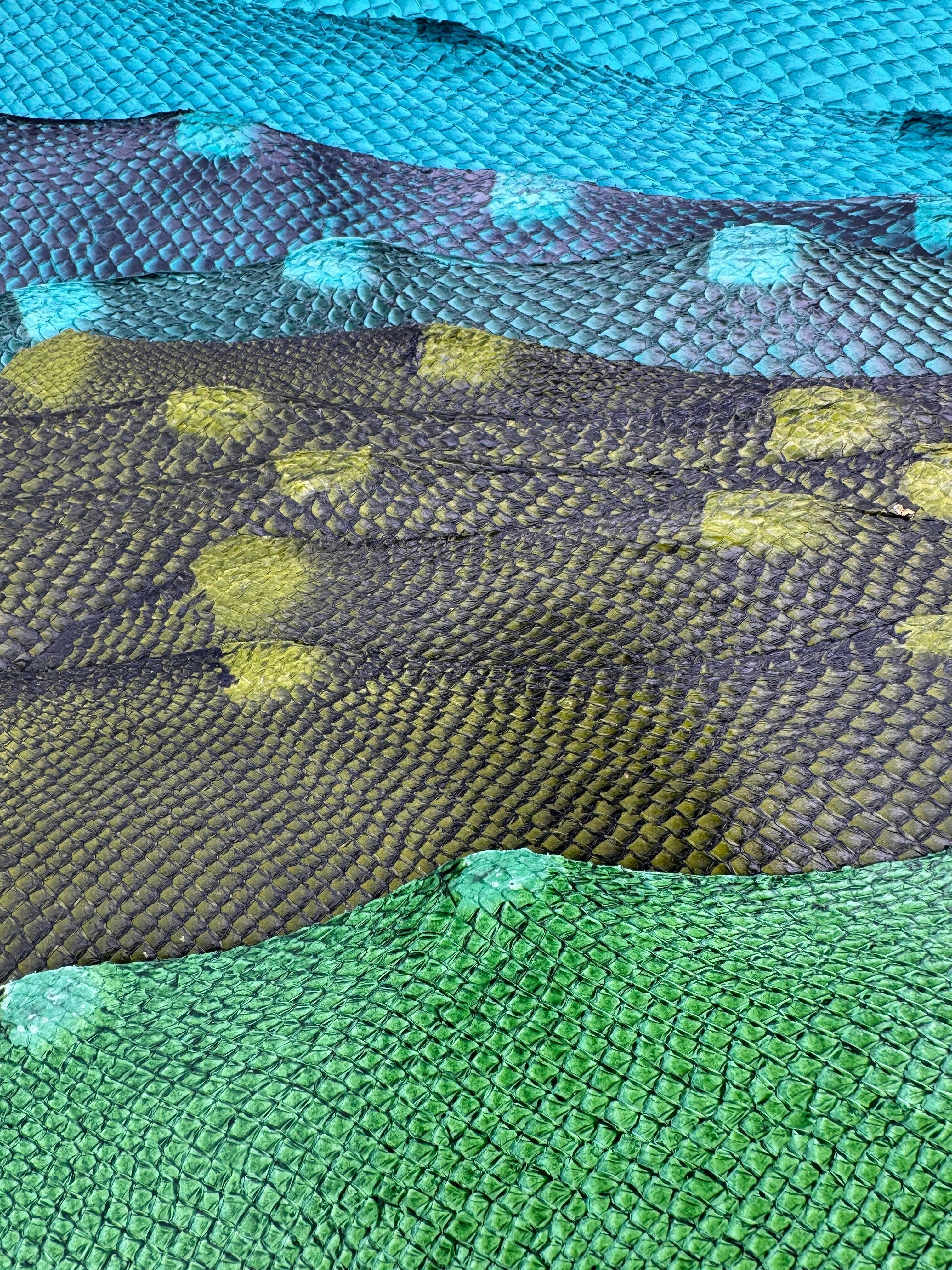 PACK de 10 SQUAMA DÉGRADÉ Autour des verts - Tailles Large - Choix 1 ICTYOS