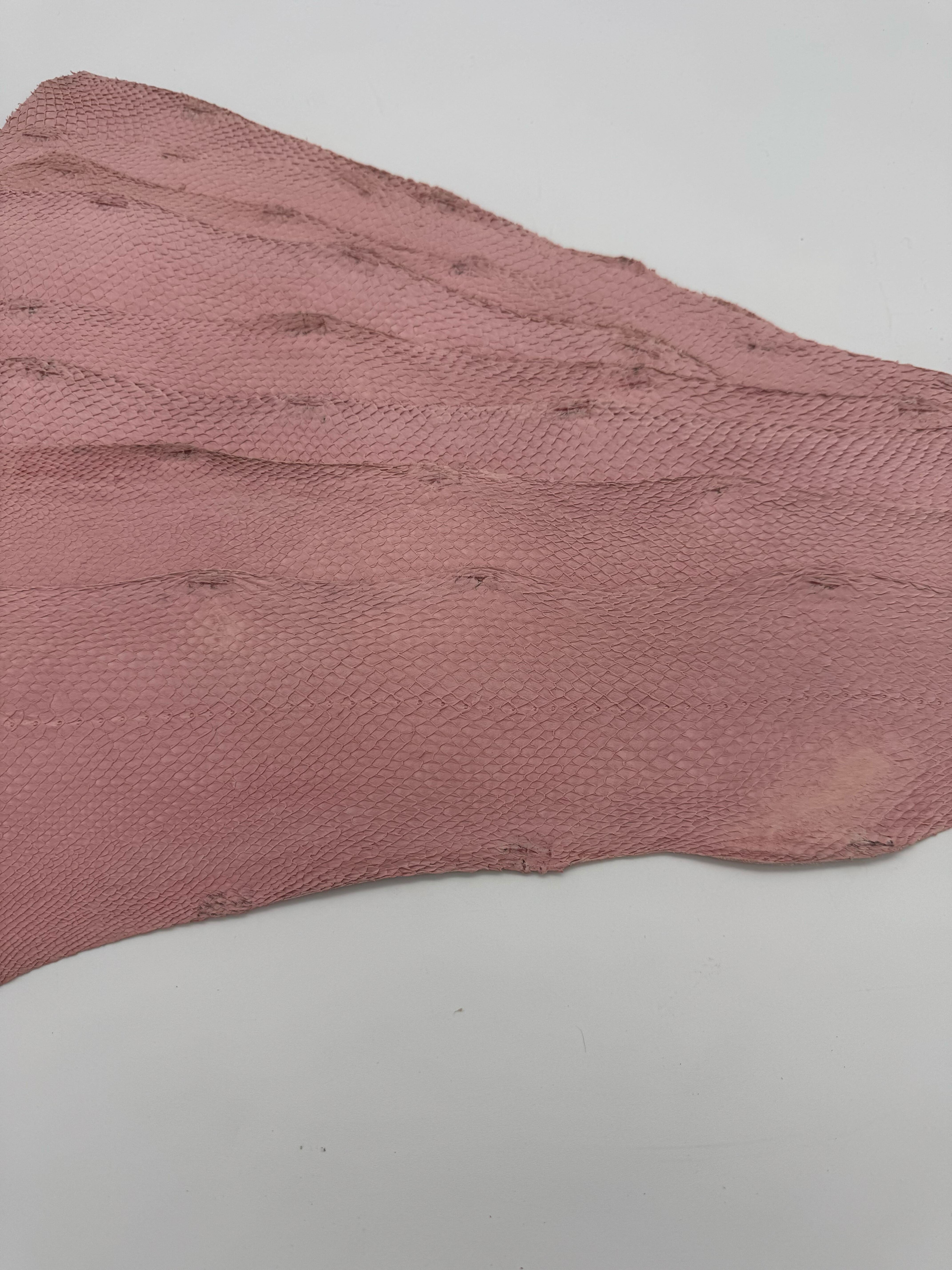 PACK de 10 SQUAMA BRUT Rose Flamant - Taille Medium - Choix 2 ICTYOS