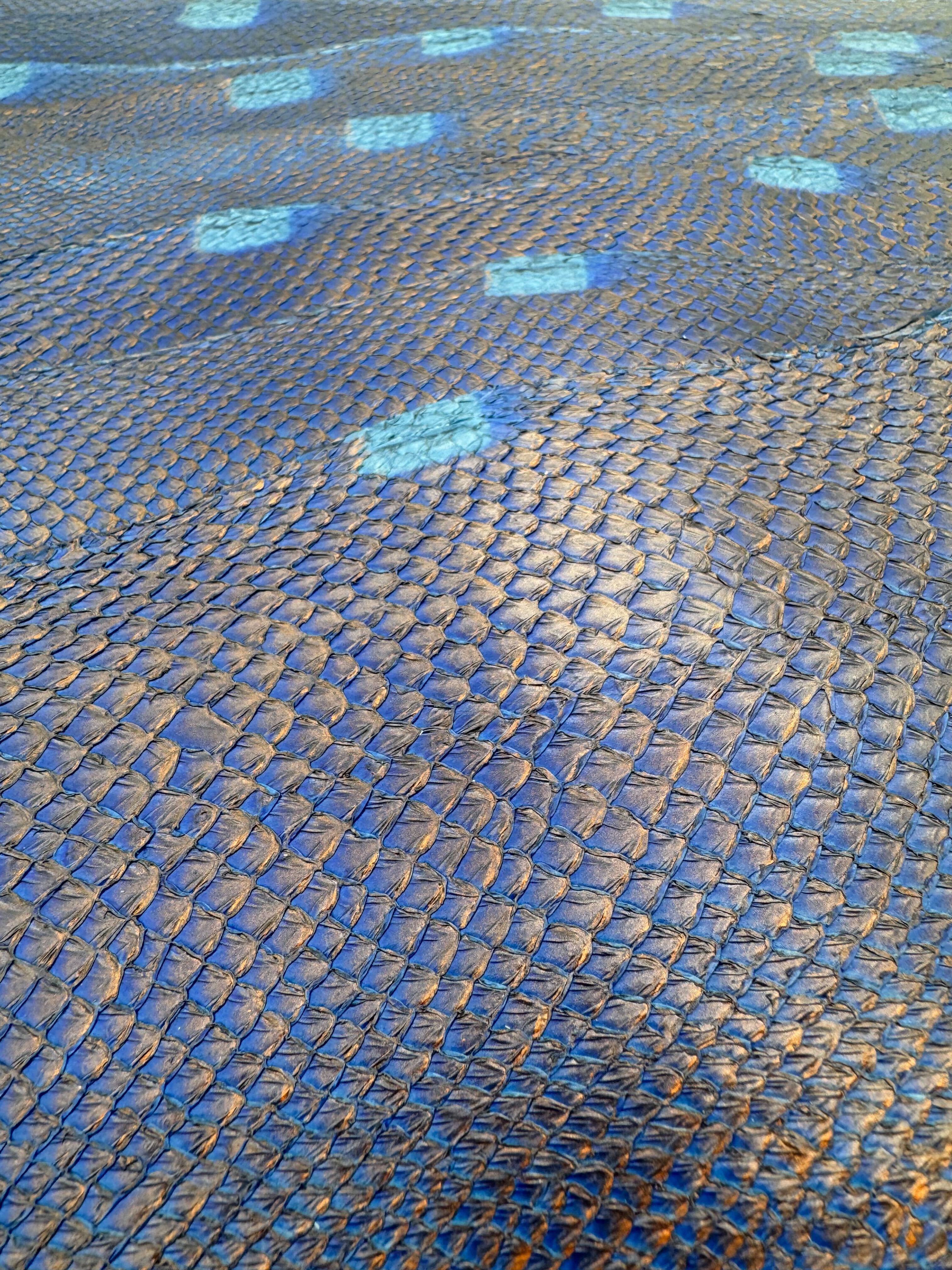 PACK de 10 SQUAMA DÉGRADÉ Cuivre sur Bleu - Taille Large - Choix 2 ICTYOS