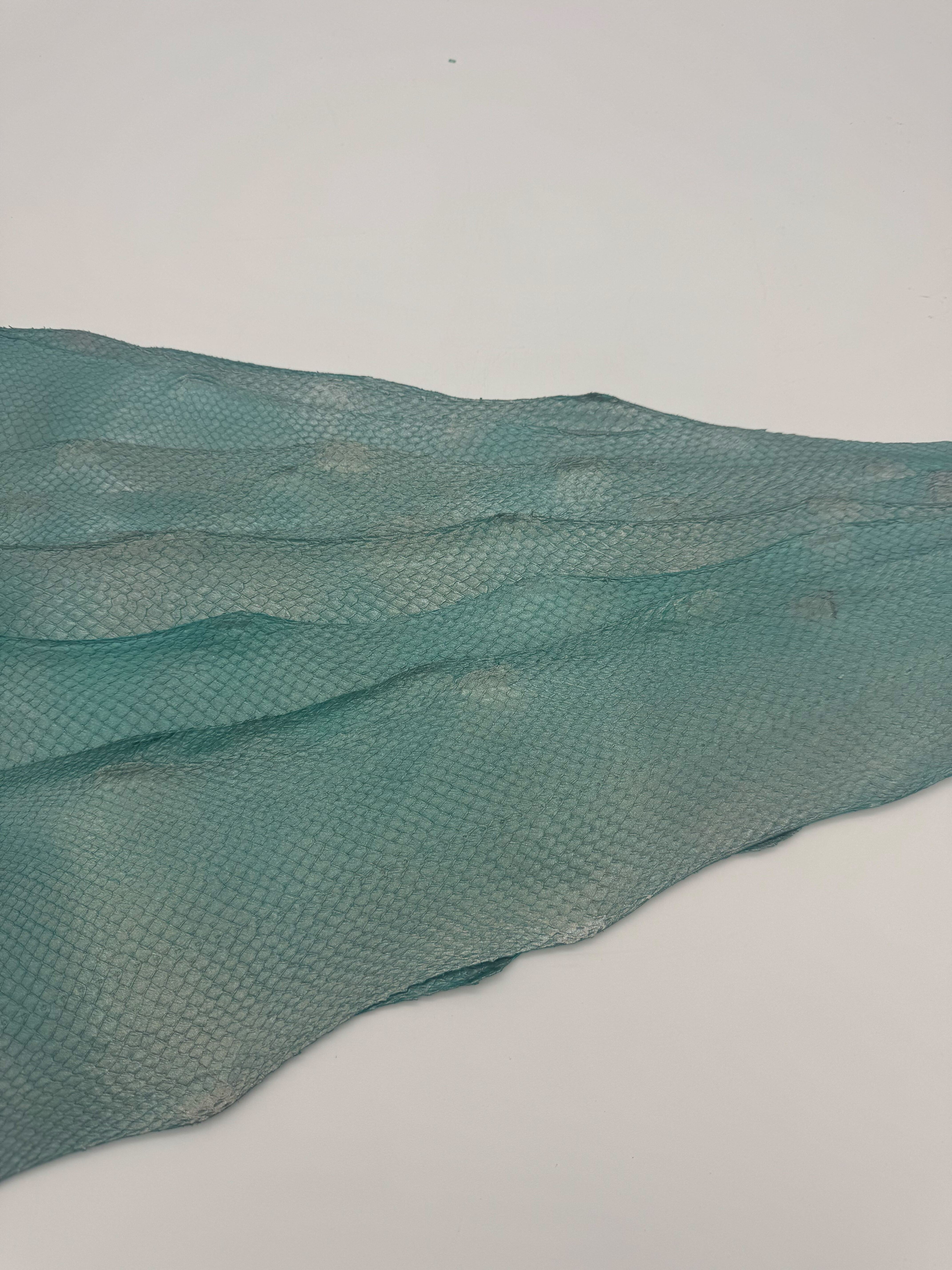 PACK de 10 SQUAMA MÉTALLISÉ Vert antique - Taille Large - Choix 1 ICTYOS