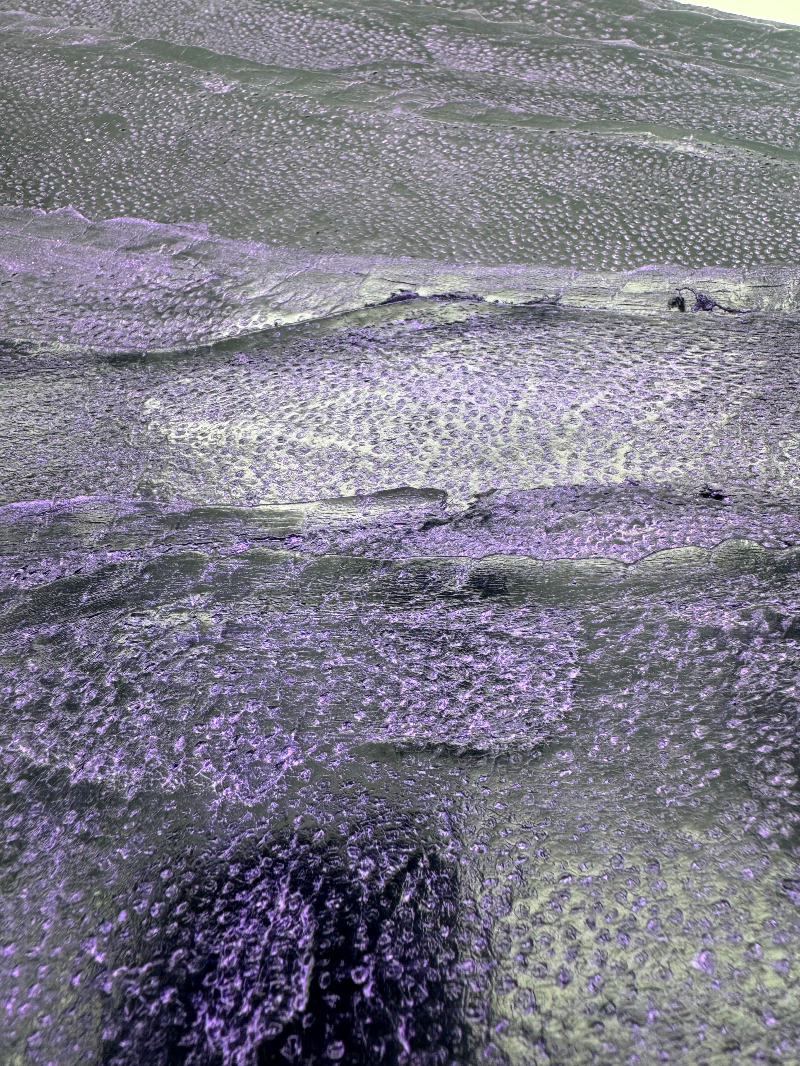 PACK DE 10 NAYA® DÉLAVÉ Violet - Large ictyos-store