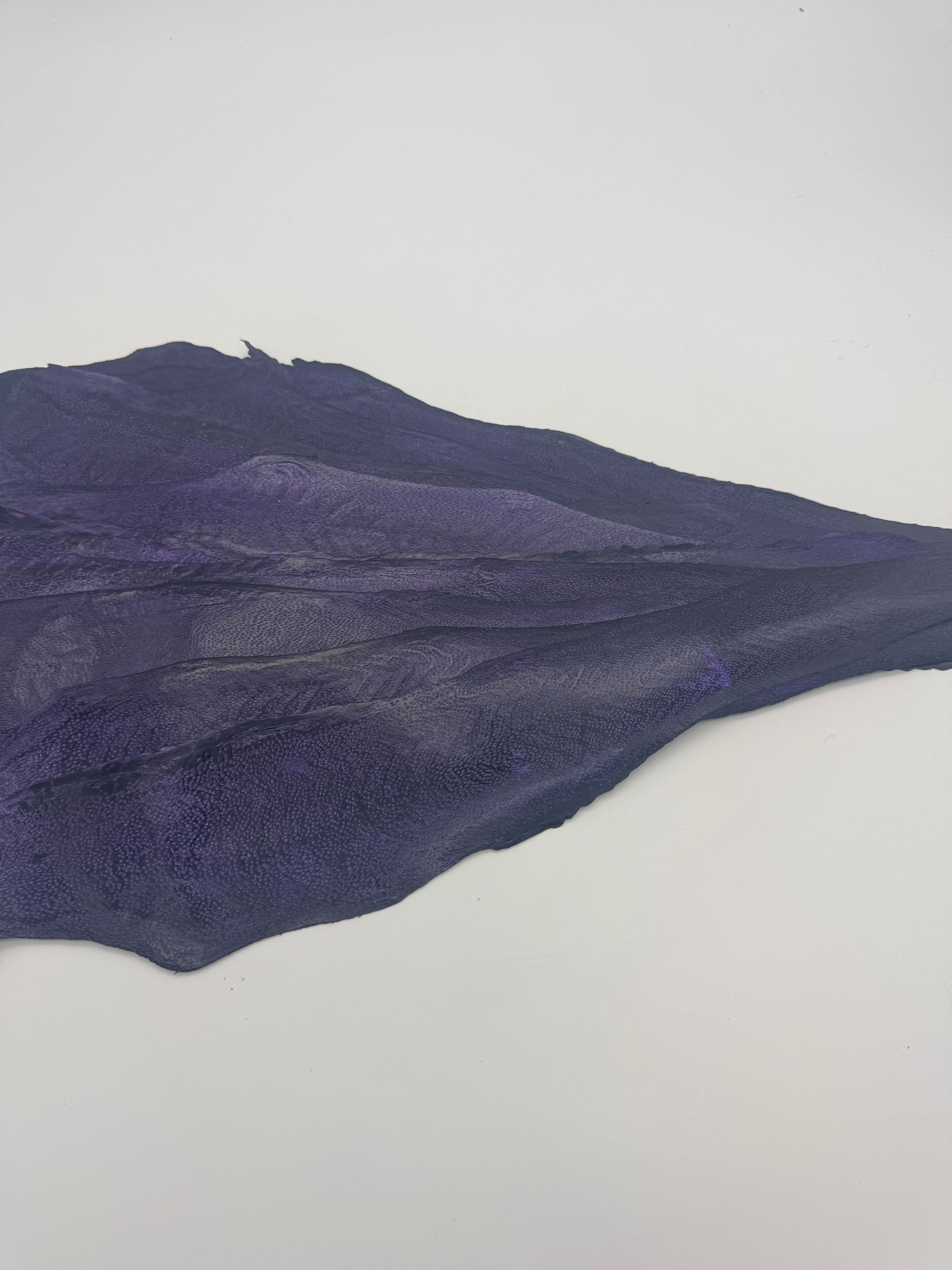 PACK DE 10 NAYA® DÉLAVÉ Violet - Medium ictyos-store