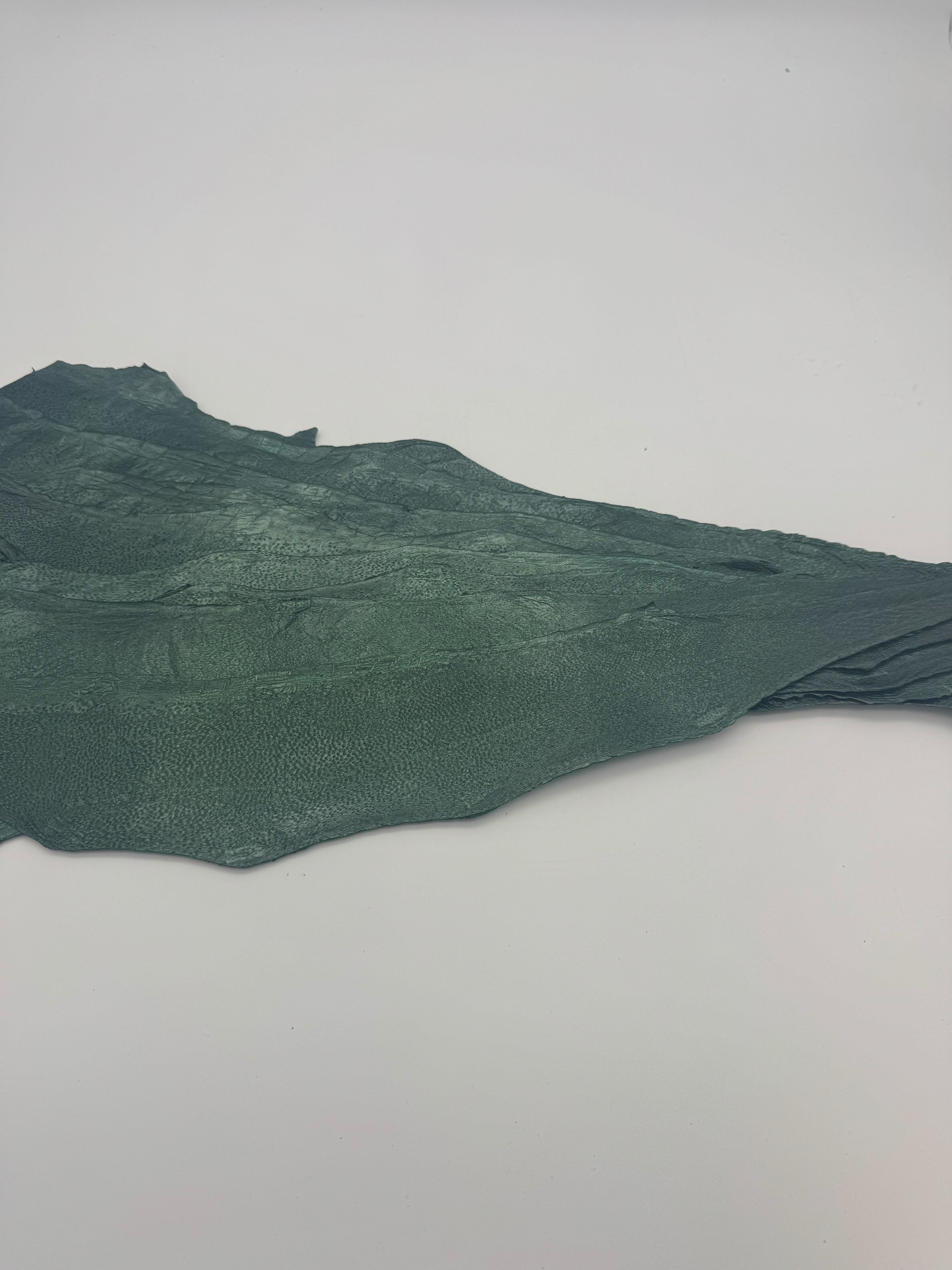 PACK DE 10 NAYA® MÉTALLISÉ Vert - Large ictyos-store