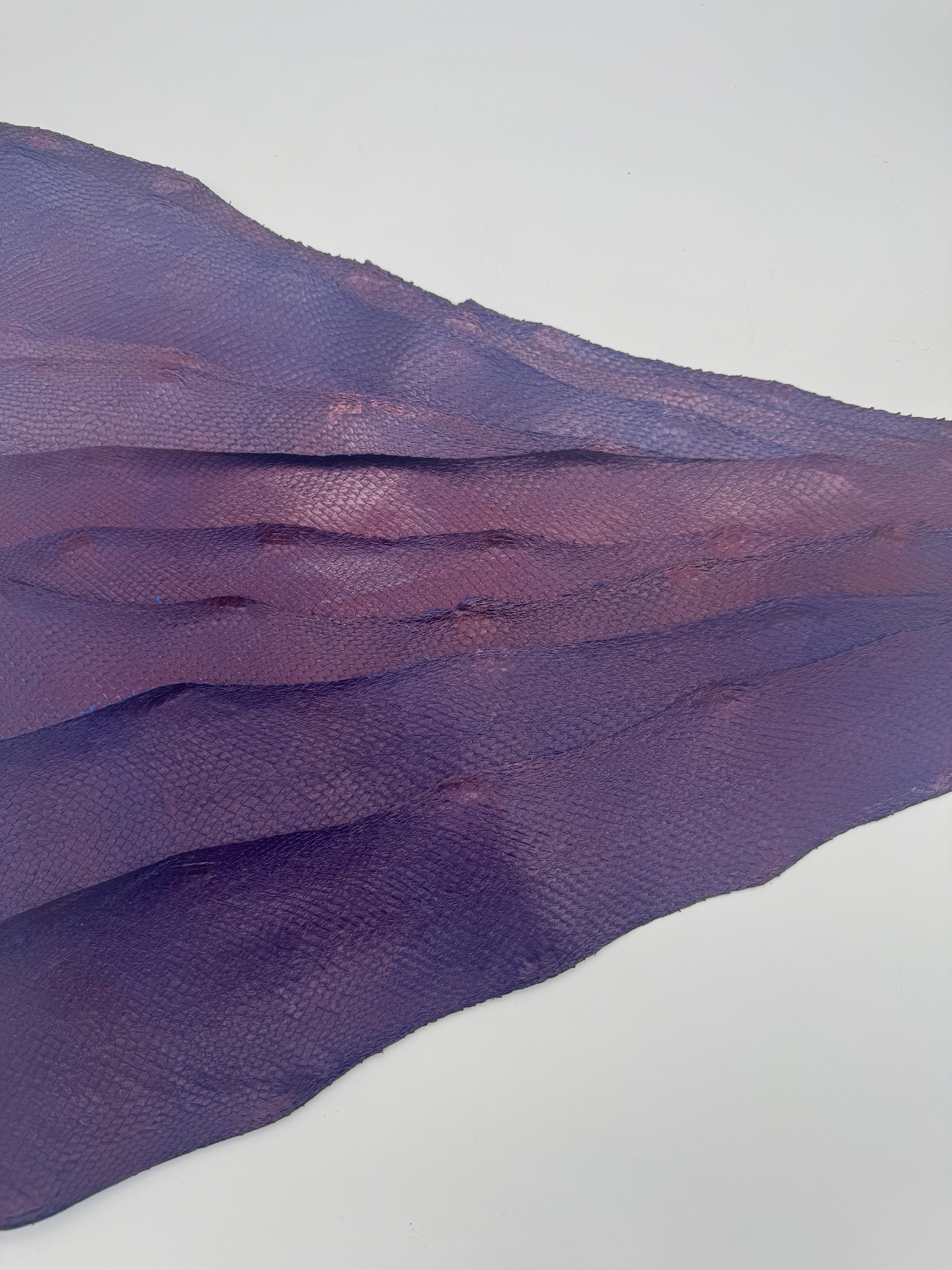 PACK de 10 SQUAMA MÉTALLISÉ Horizon violet - Taille Medium - Choix 1 ICTYOS