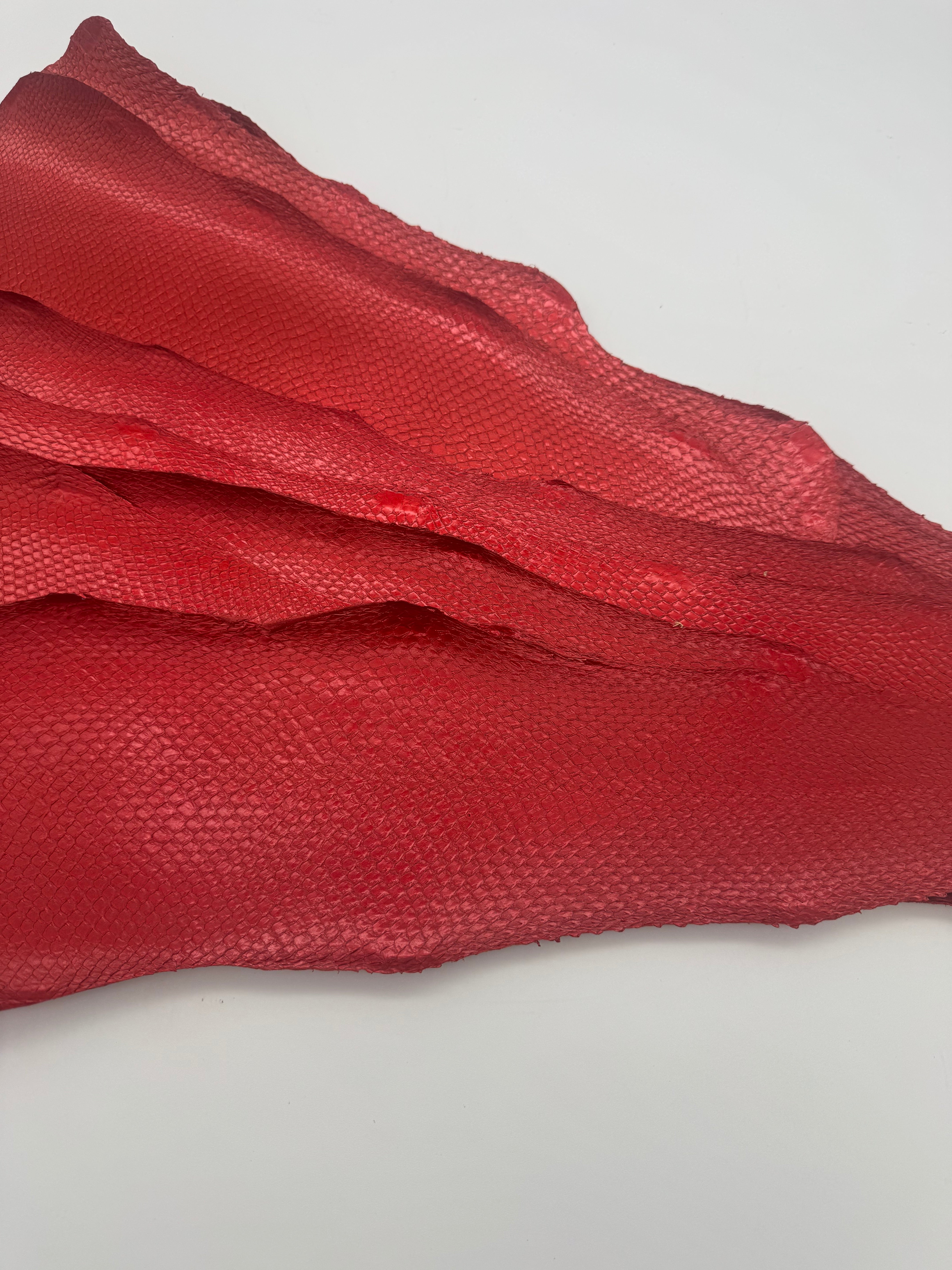 PACK de 10 SQUAMA MÉTALLISÉ Rouge - Taille Large - Choix 1 ICTYOS