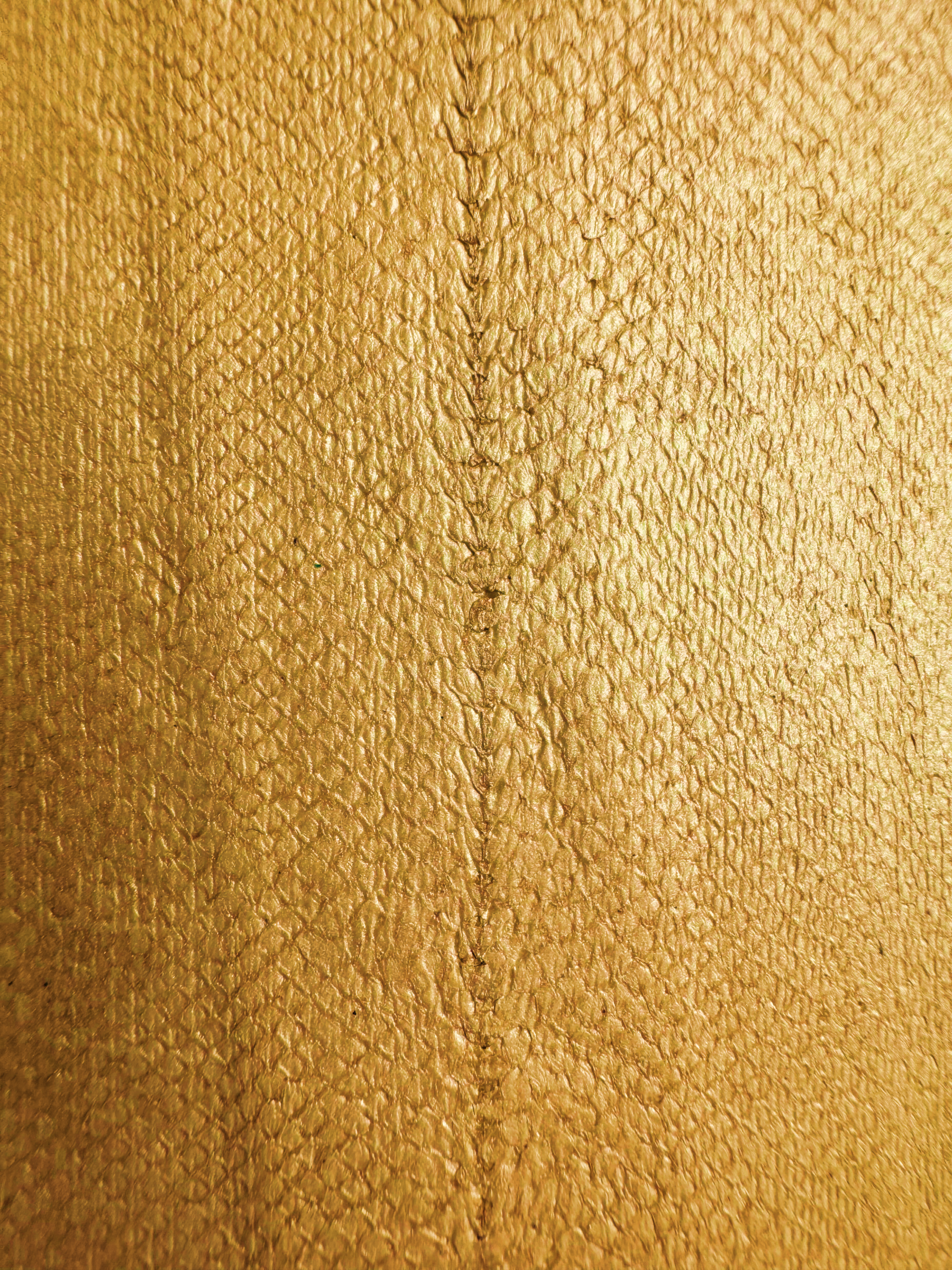 PACK DE 5 SOLA® MÉTALLISÉ Or ictyos-store