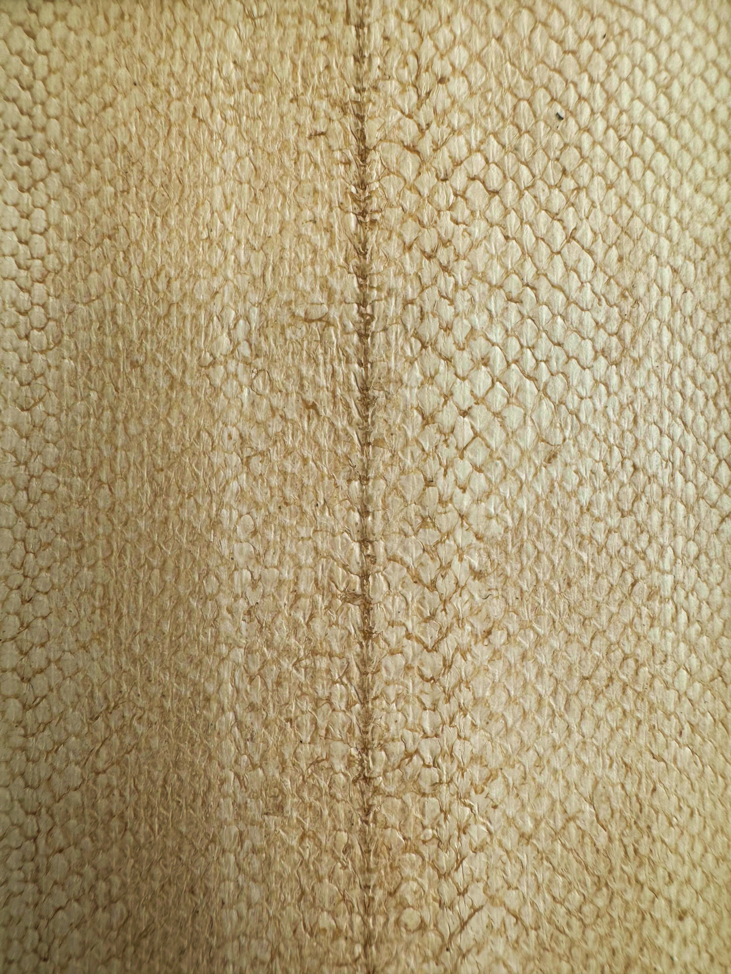 PACK DE 5 SOLA® SATINÉ Beige Blé ictyos-store