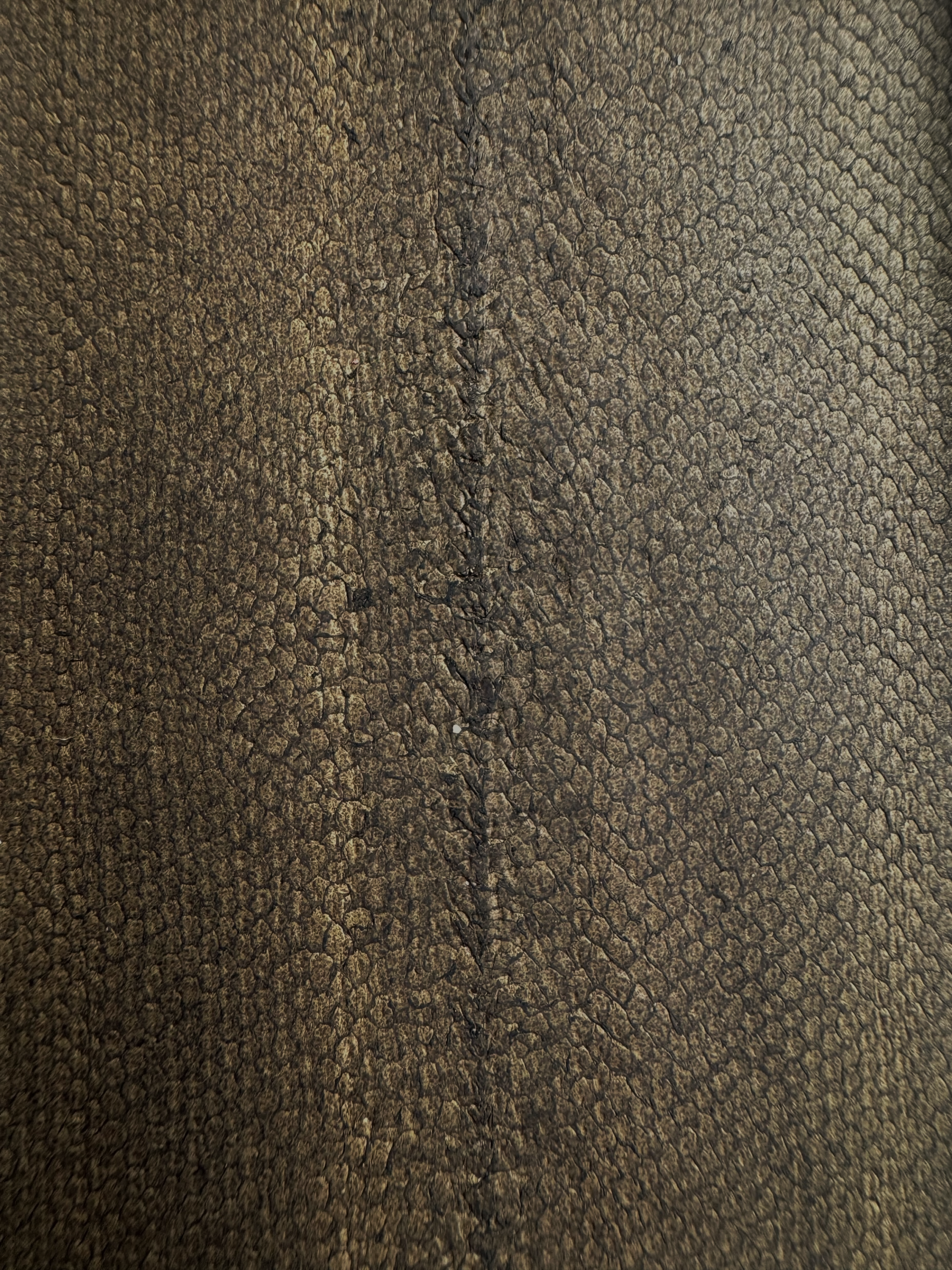 PACK DE 5 SOLA® SATINÉ Brun Racine ictyos-store