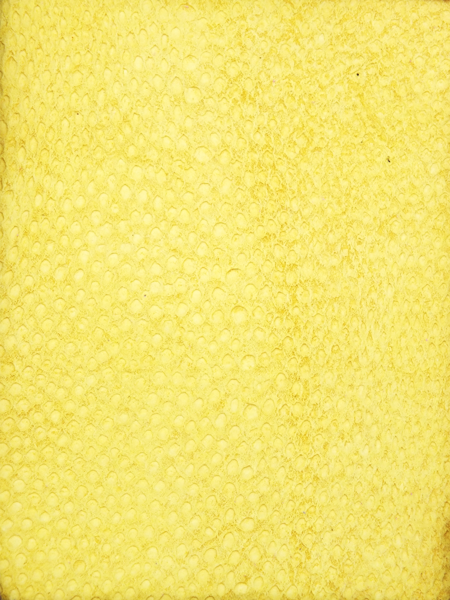 NAYA® BRUT Citron ictyos-store