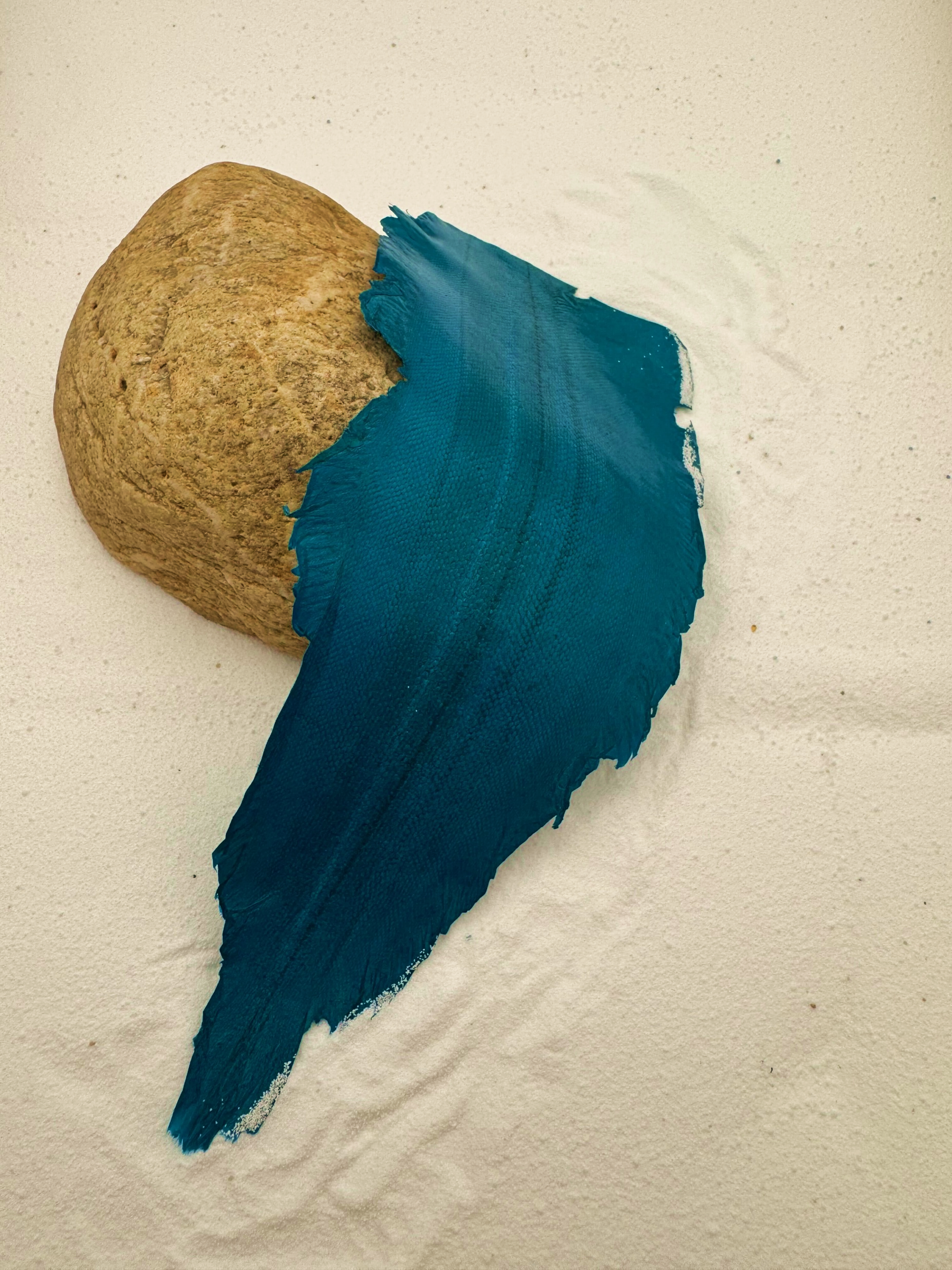 PACK DE 5 SOLA® BRILLANT Bleu Vague ictyos-store