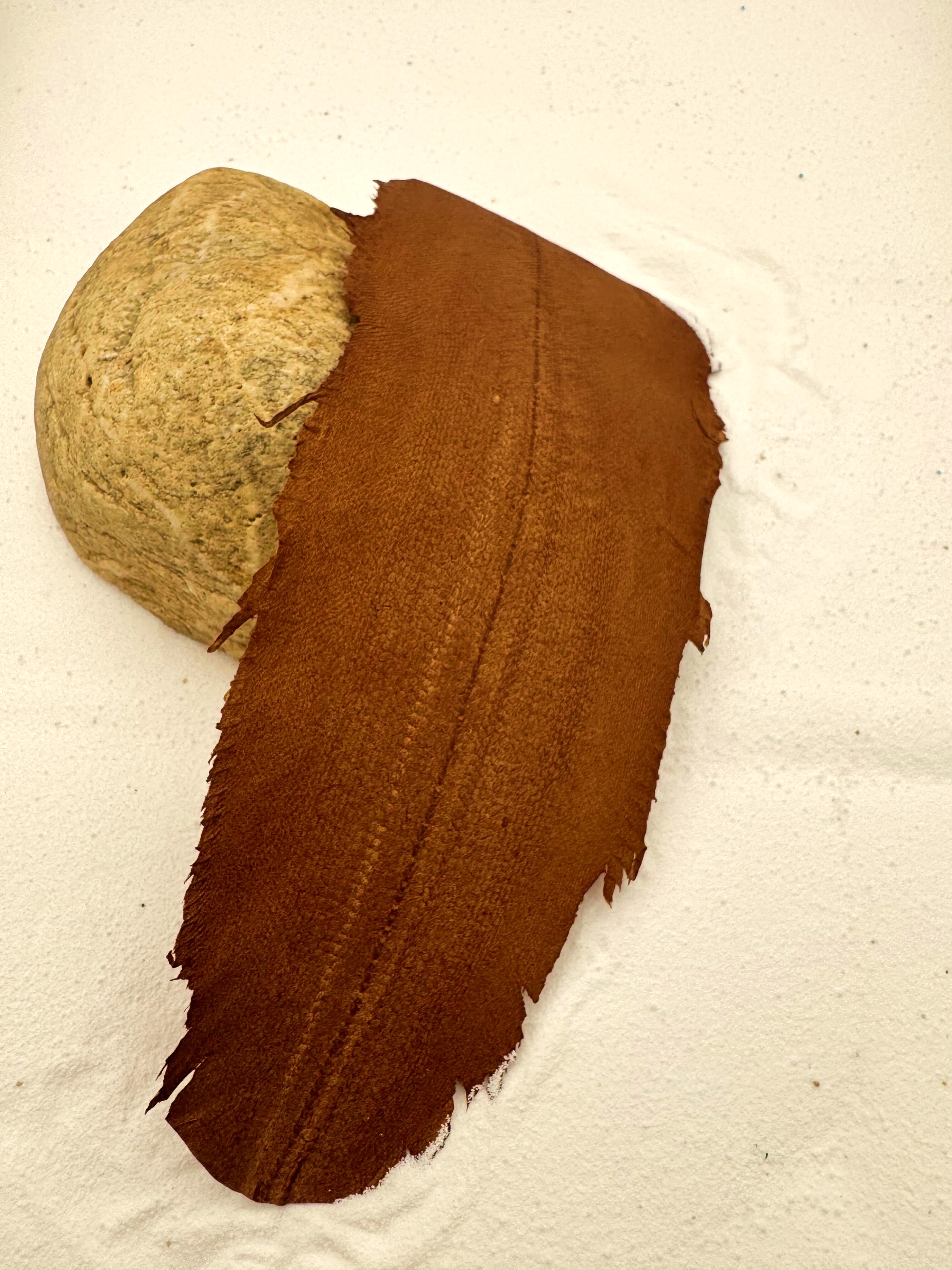 PACK DE 5 SOLA® SATINÉ Marron Écorce ictyos-store