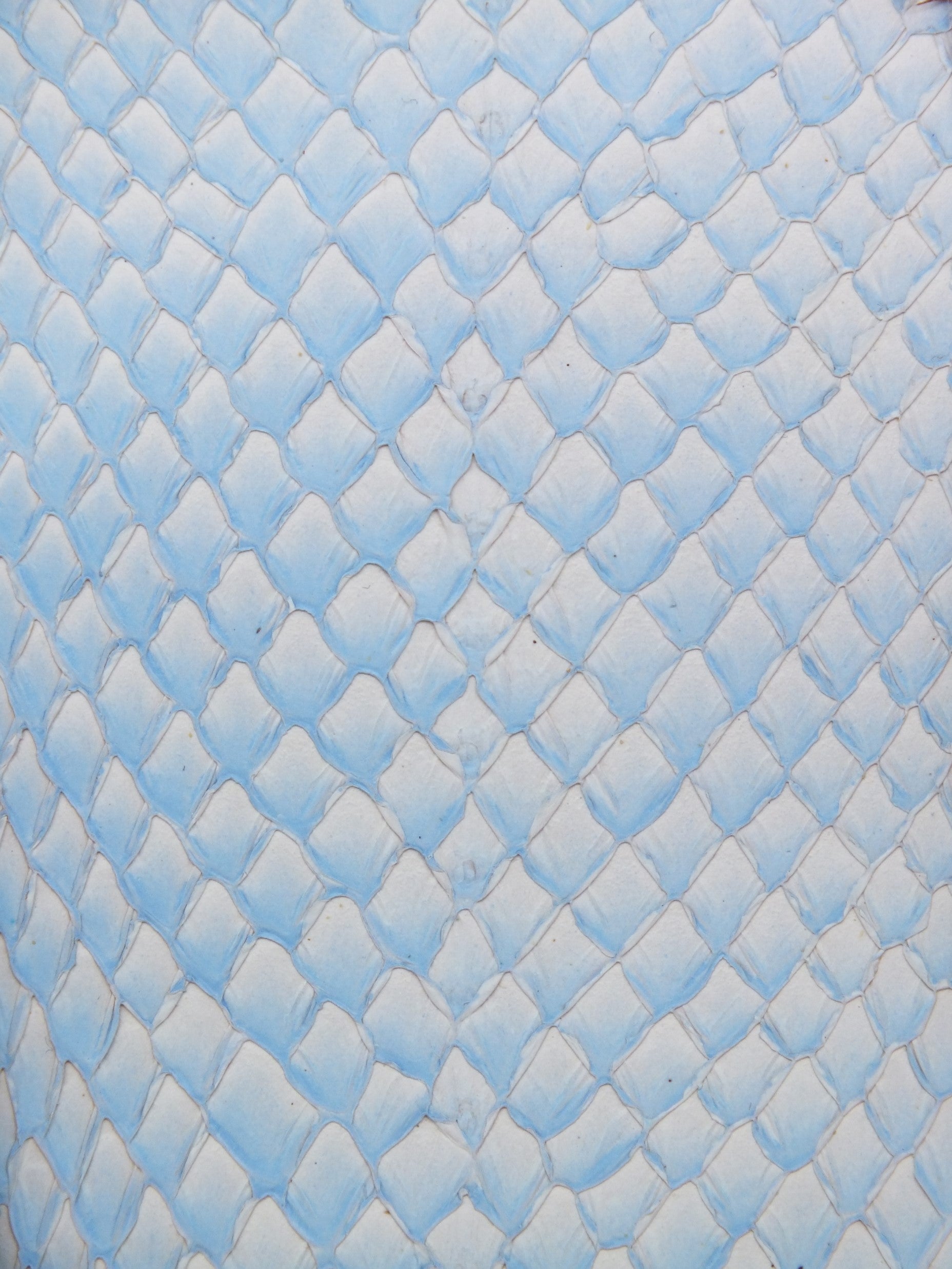 SQUAMA® DÉGRADÉ Bleu d'antan ictyos-store