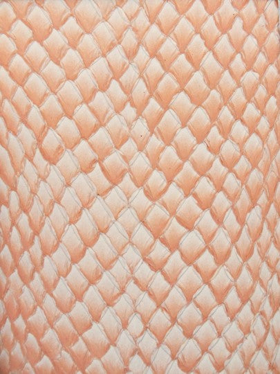 SQUAMA® DÉGRADÉ Pêche ictyos-store