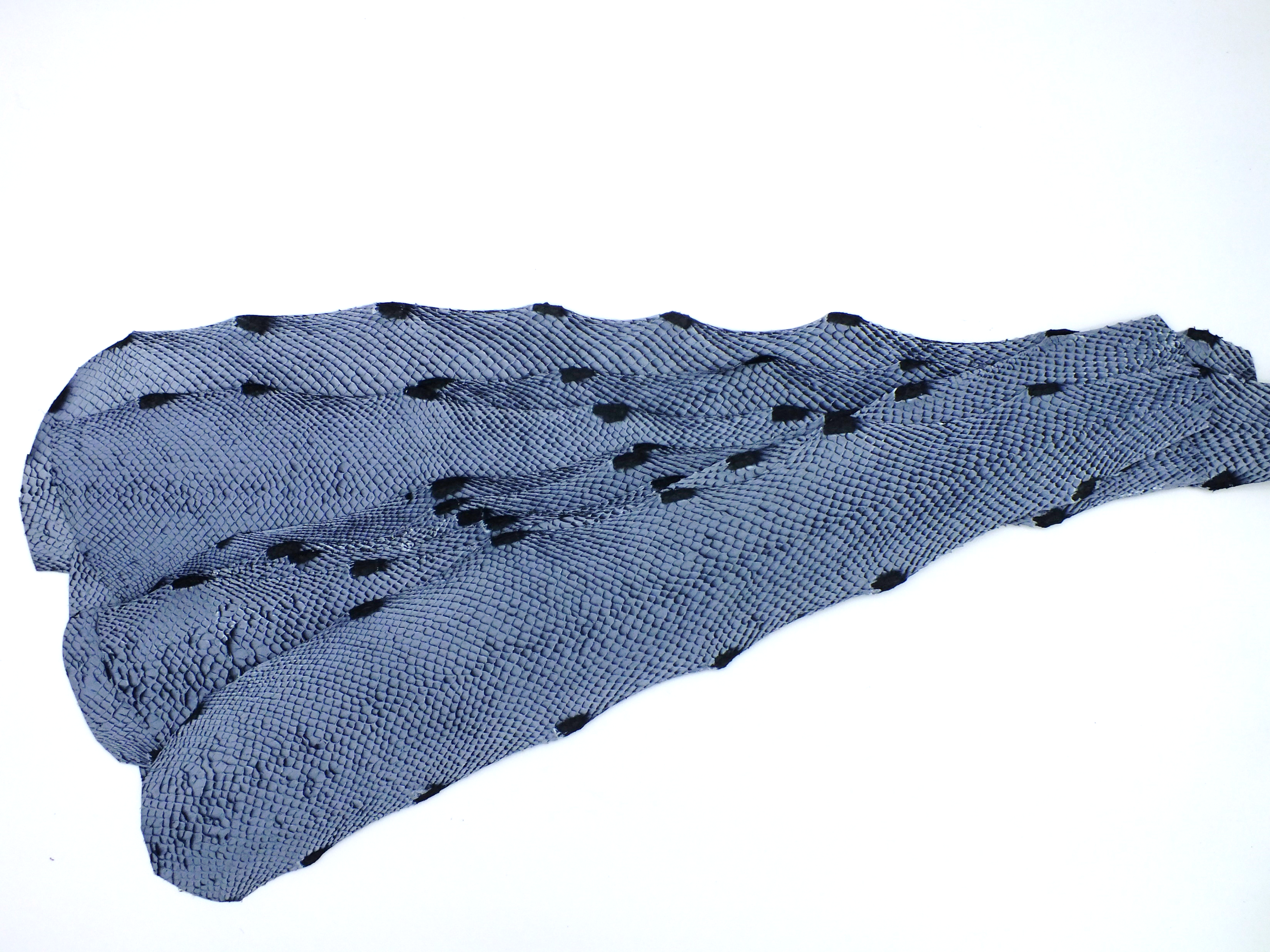 PACK de 10 SQUAMA DÉGRADÉ Verglacé grisé - Taille Medium - Choix 1 ICTYOS