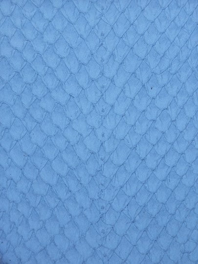 SQUAMA® SATINÉ Bleu Ciel ictyos-store