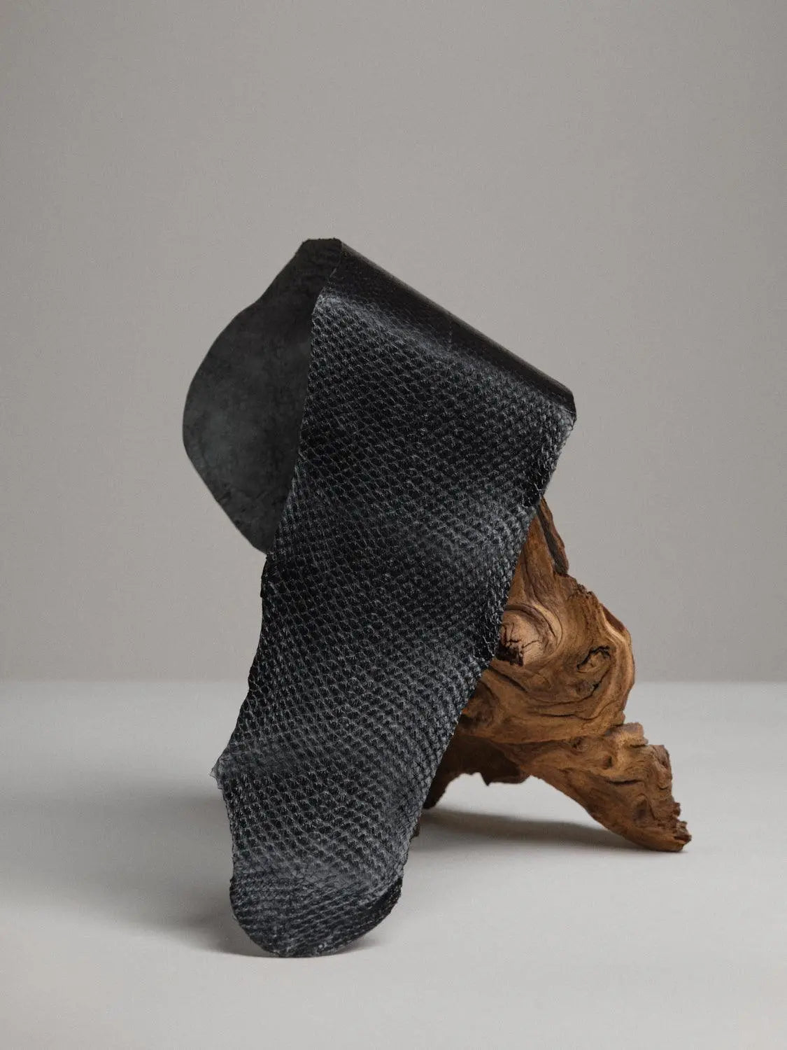 SQUAMA® BRILLANT Noir d'encre ictyos-store